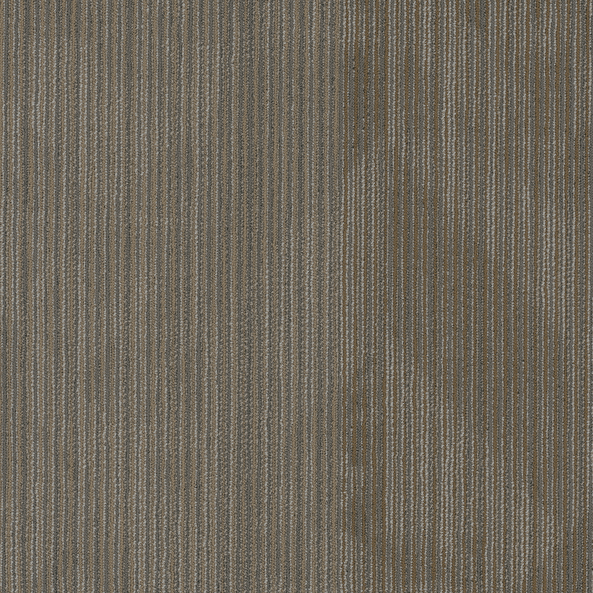 In The Press Collection