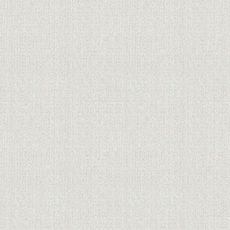 Sensible Now E9720 Broadloom Carpet in Abbey Stone color, 100% Nylon, 12ft width, 150ft roll length
