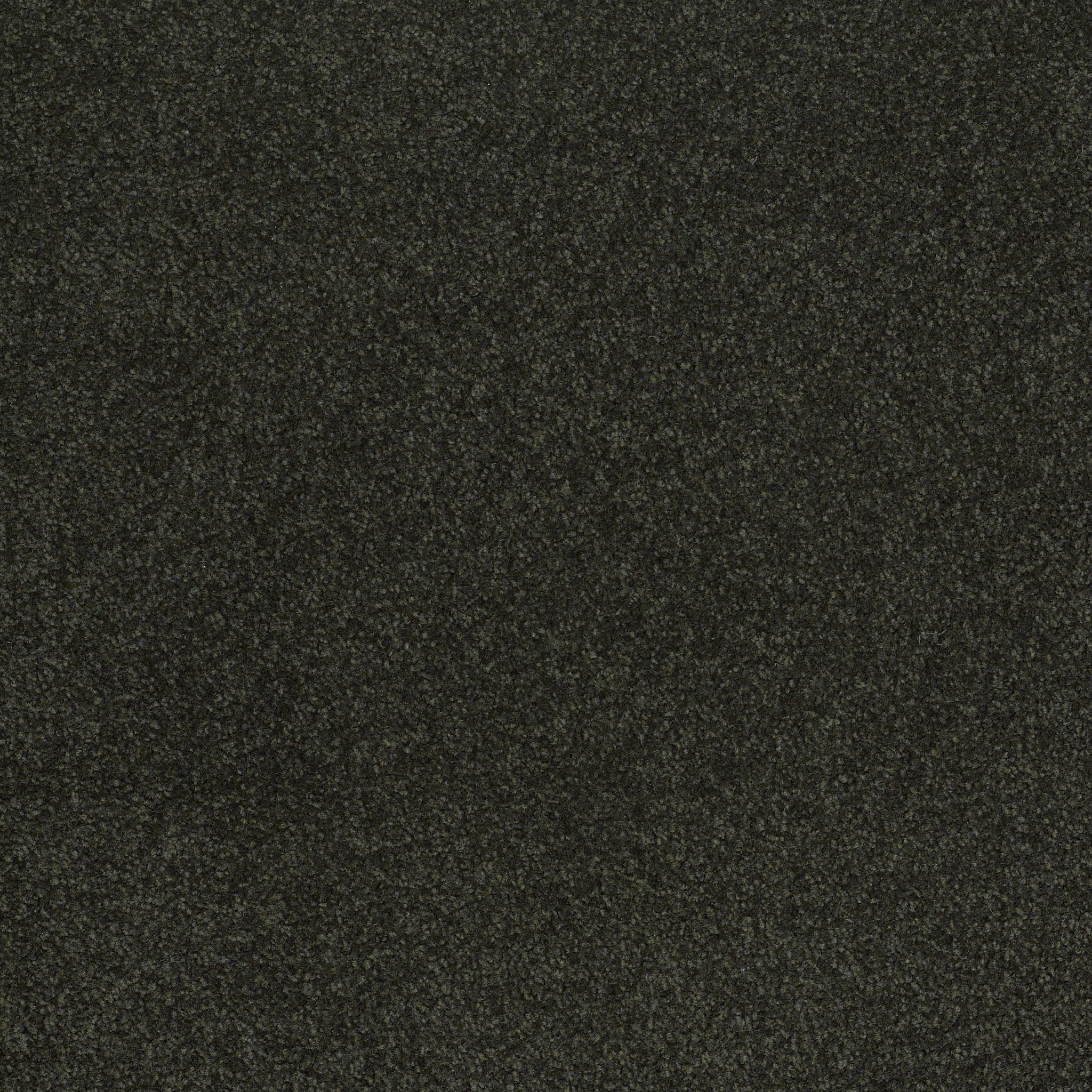 SANDY HOLLOW CLASSIC III 12' LILLY PAD MAIN