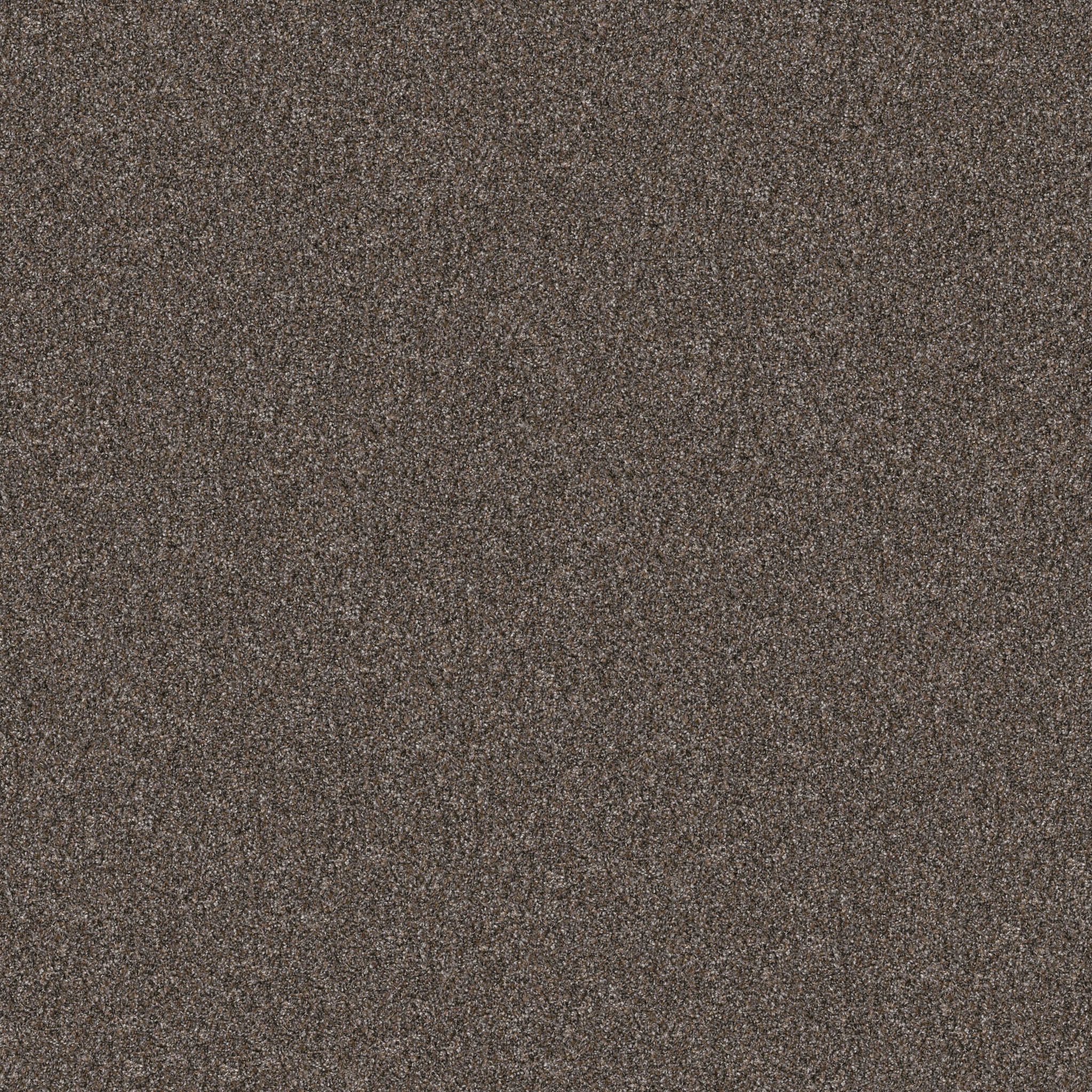 YES YOU CAN III 12' CAFE NOIR MAIN