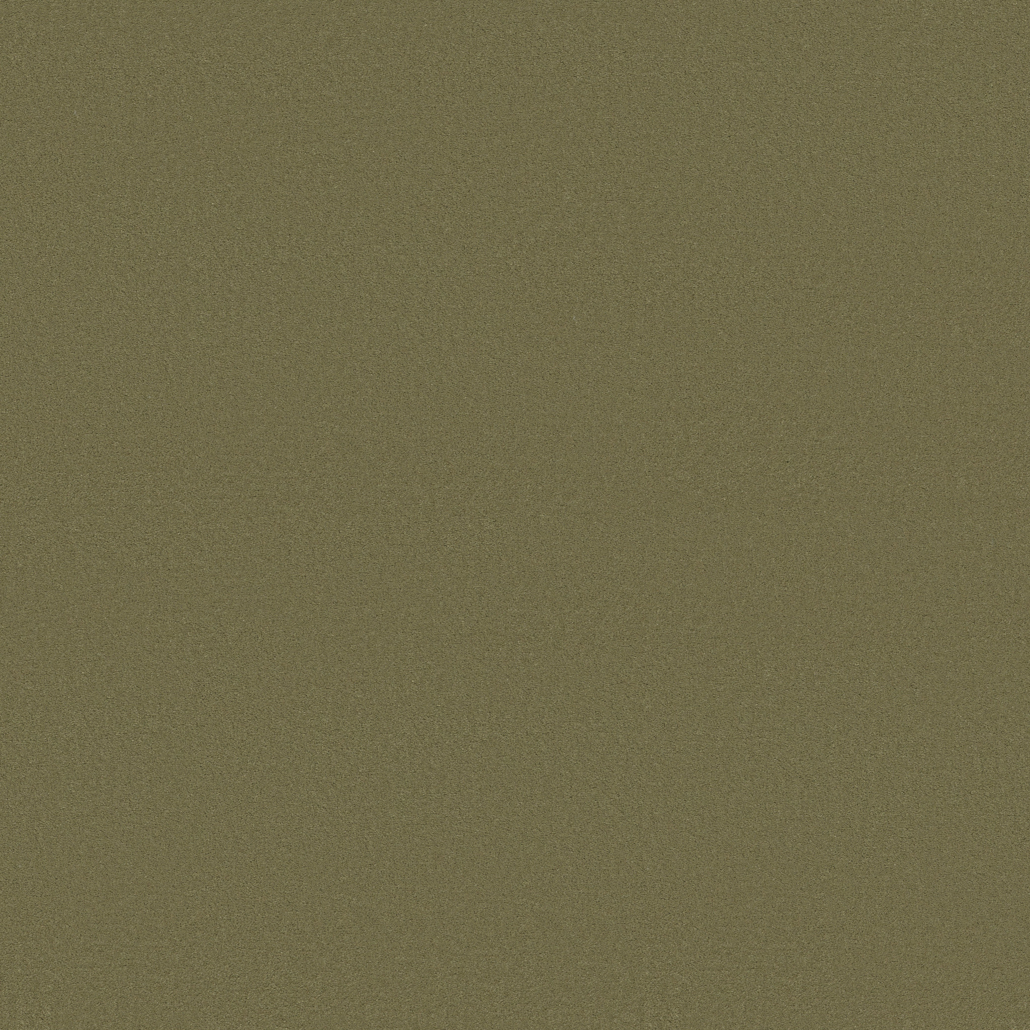 FINERY TATE OLIVE MAIN