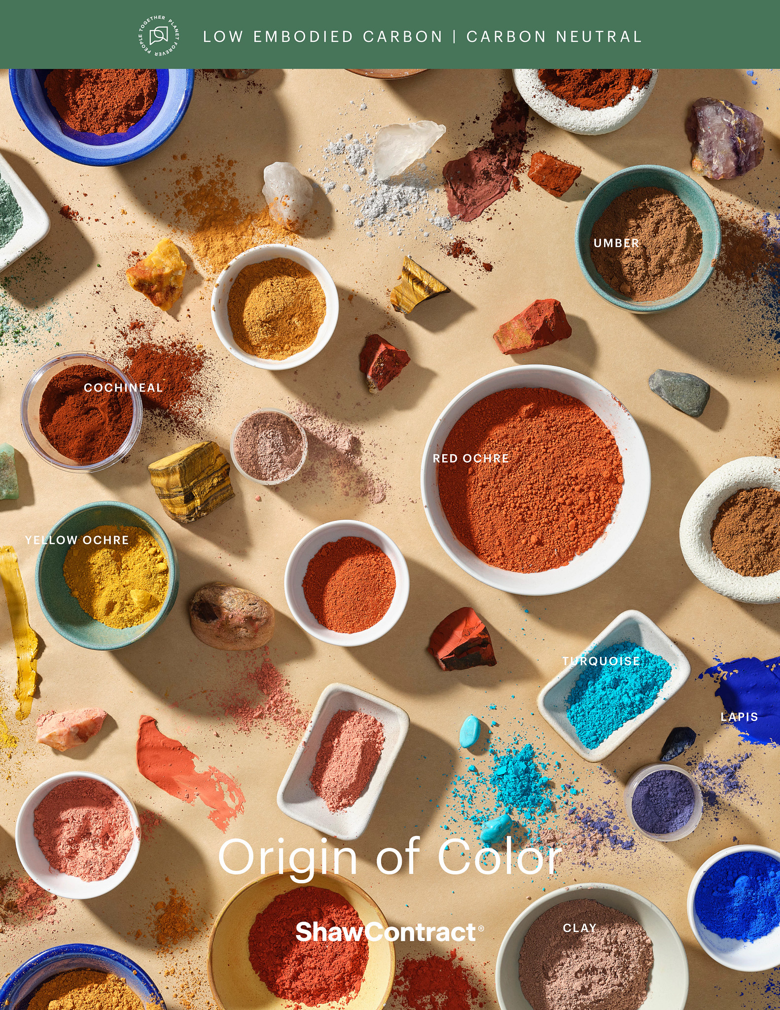 Origin of Color Brochure