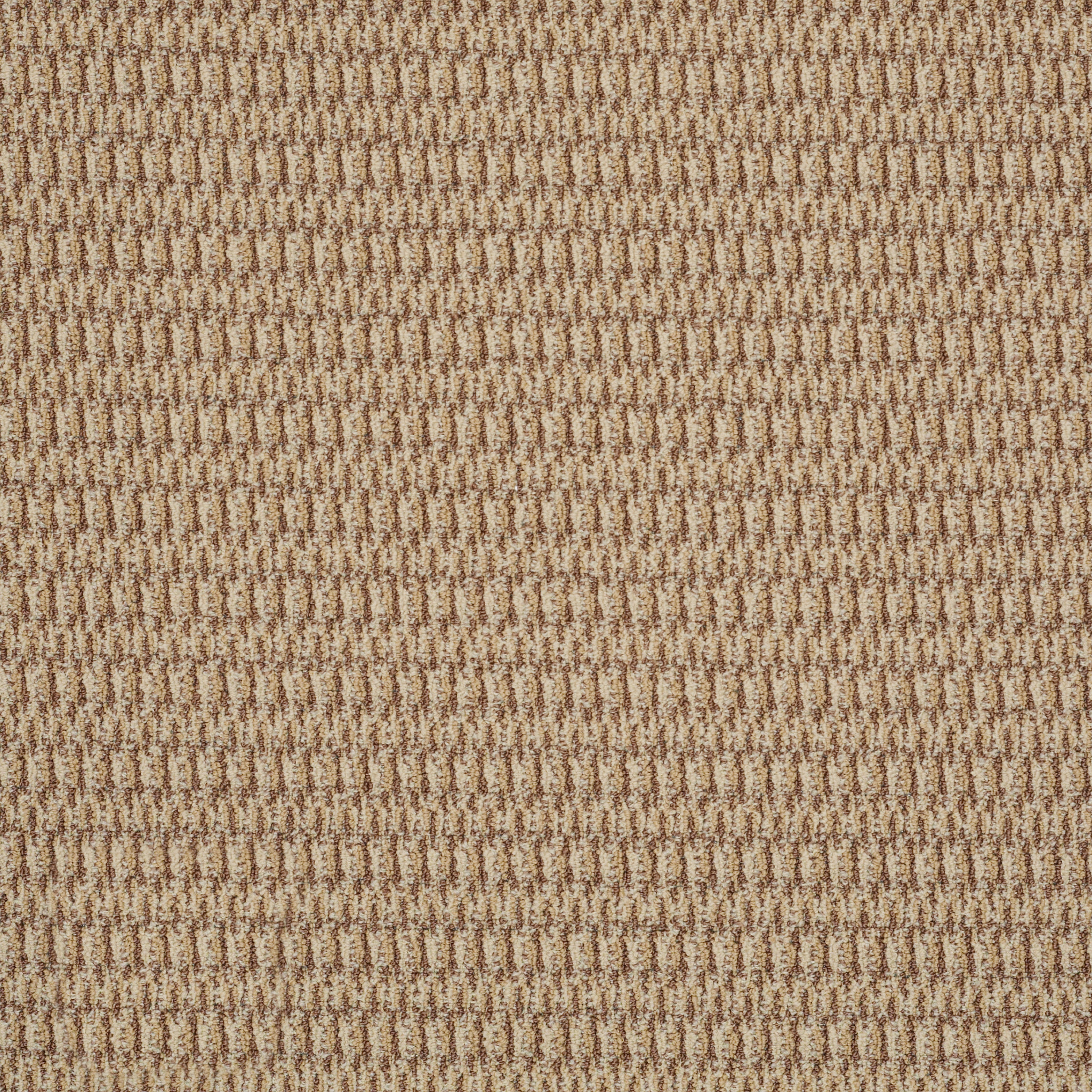 IN-HARMONY-54578-TIMELESS-78205-main-image