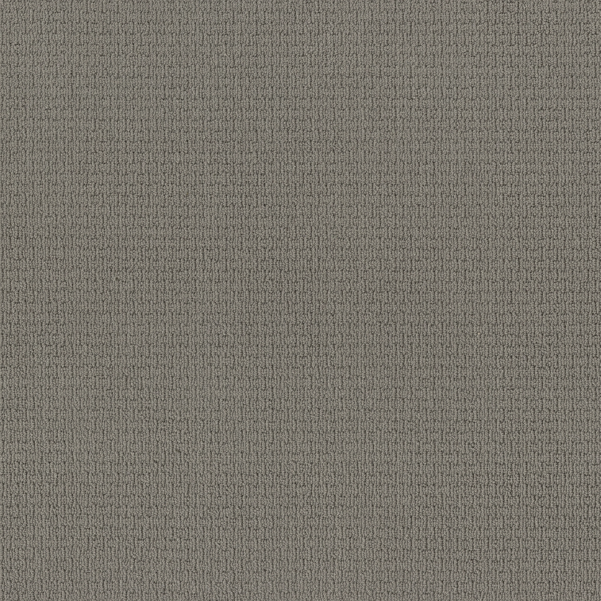 Aya② Casual Life - 100% ANSO® Nylon in Tiger Eye | AndersonTuftex