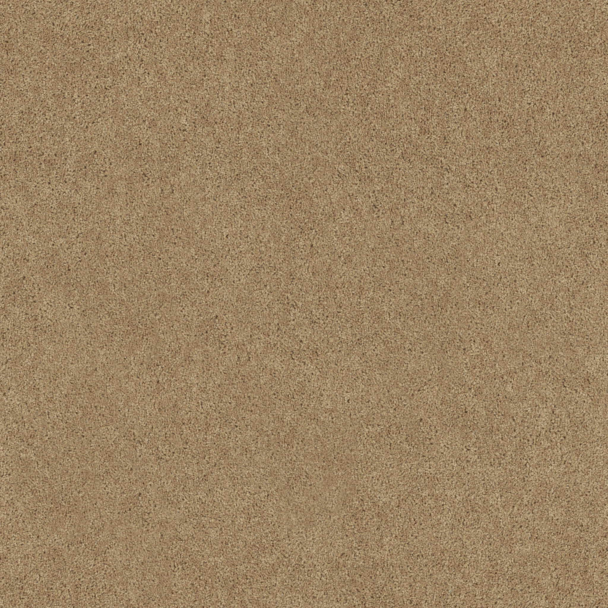 FIELDER'S CHOICE 15' WILD DUNE MAIN