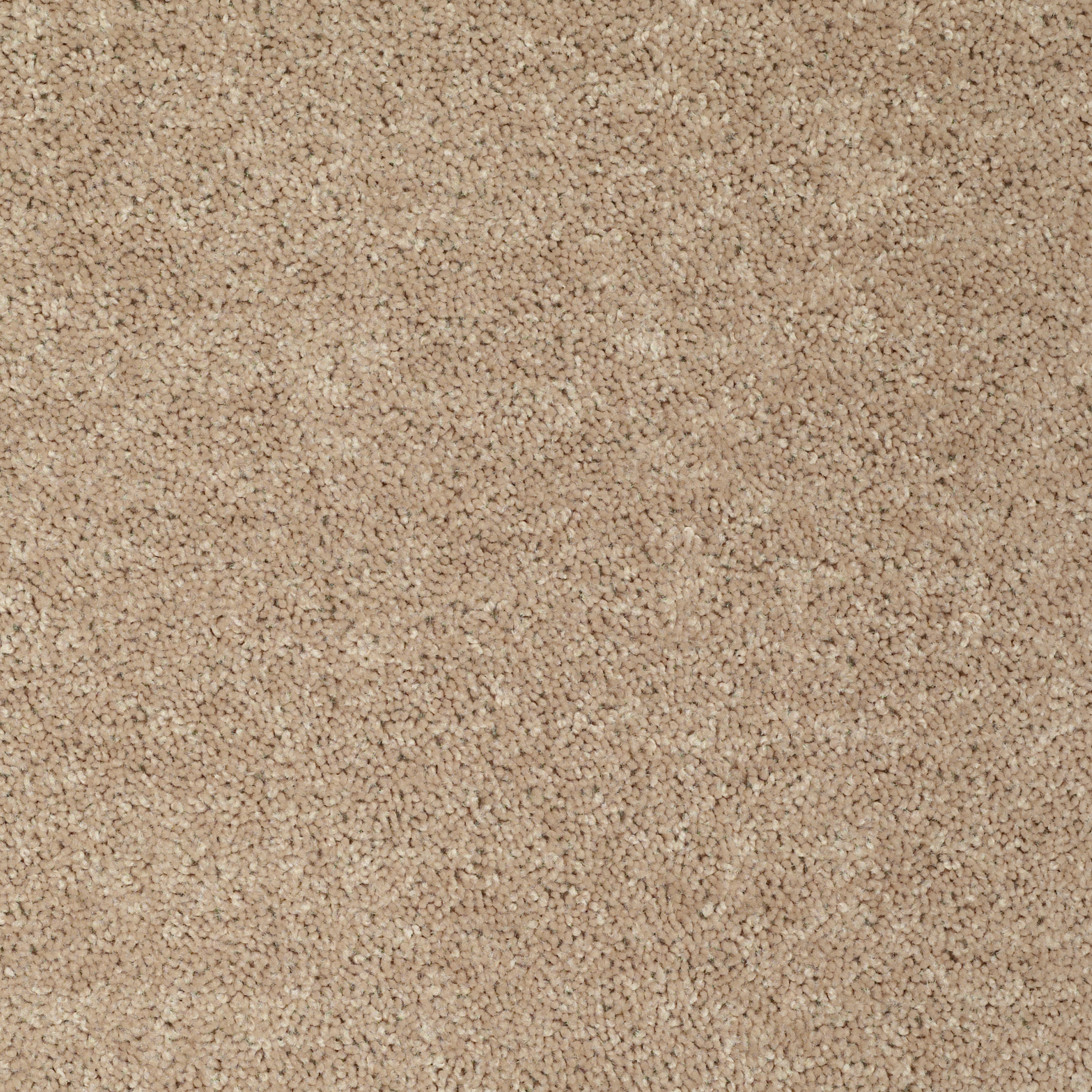 MAYVILLE 12' WILD DUNE MAIN