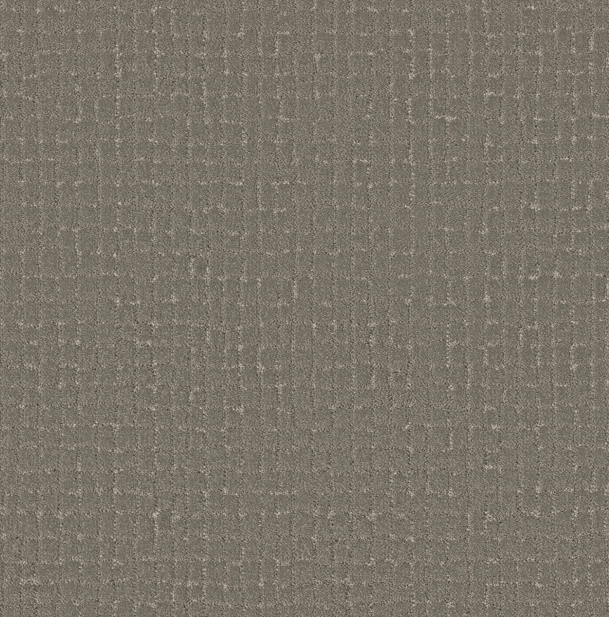 BLOCK PARTY ASHES MAIN