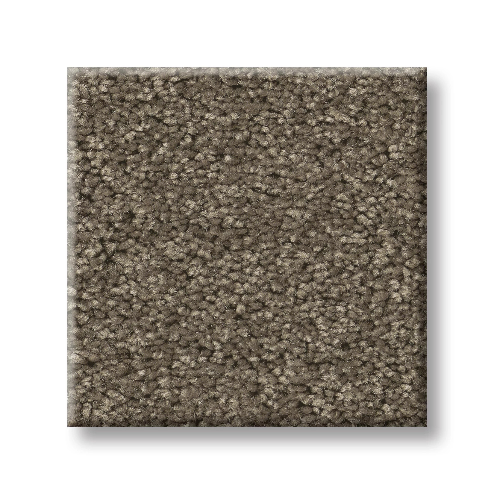 LAGUNA BEACH RUSTIC TAUPE SWATCH