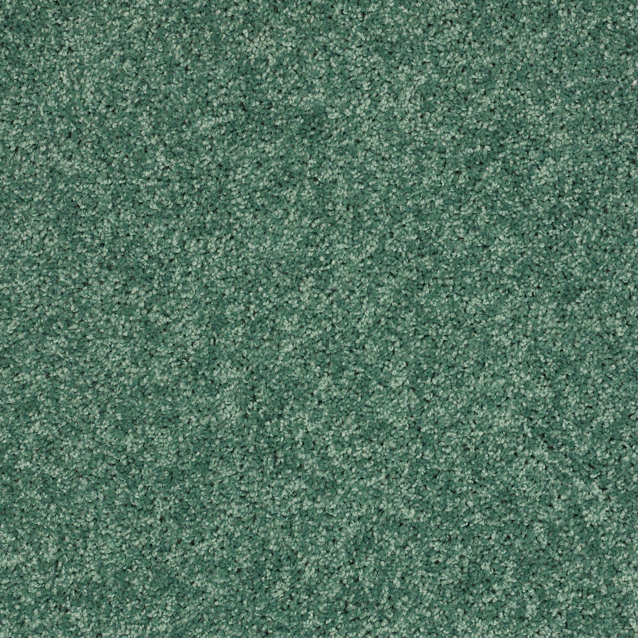 KID'S CLUB LEAP FROG MAIN