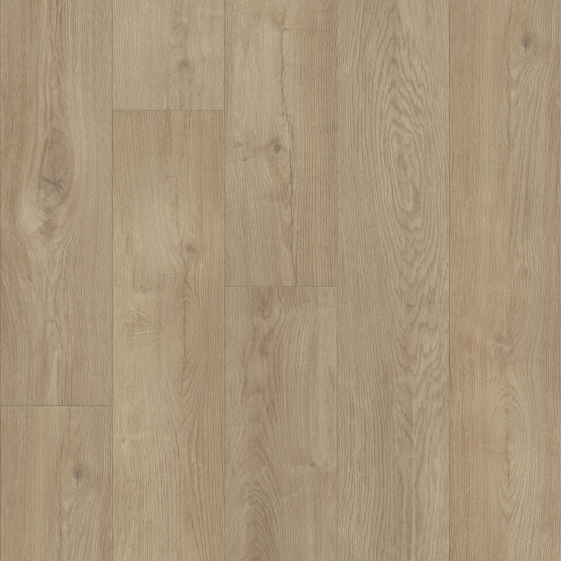 TITAN HD PLUS PLATINUM in Essential White by Shaw Floors