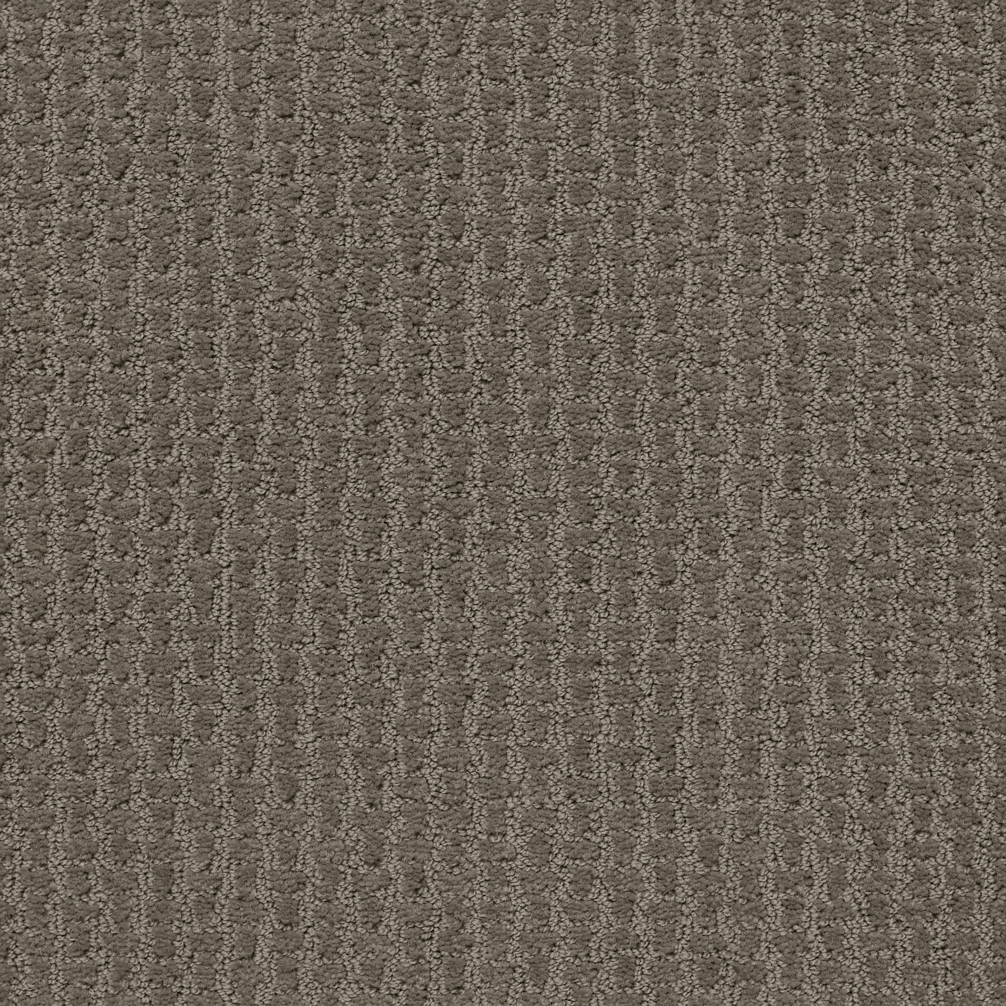 COMPLETE CONTROL FRONT GATE MAIN