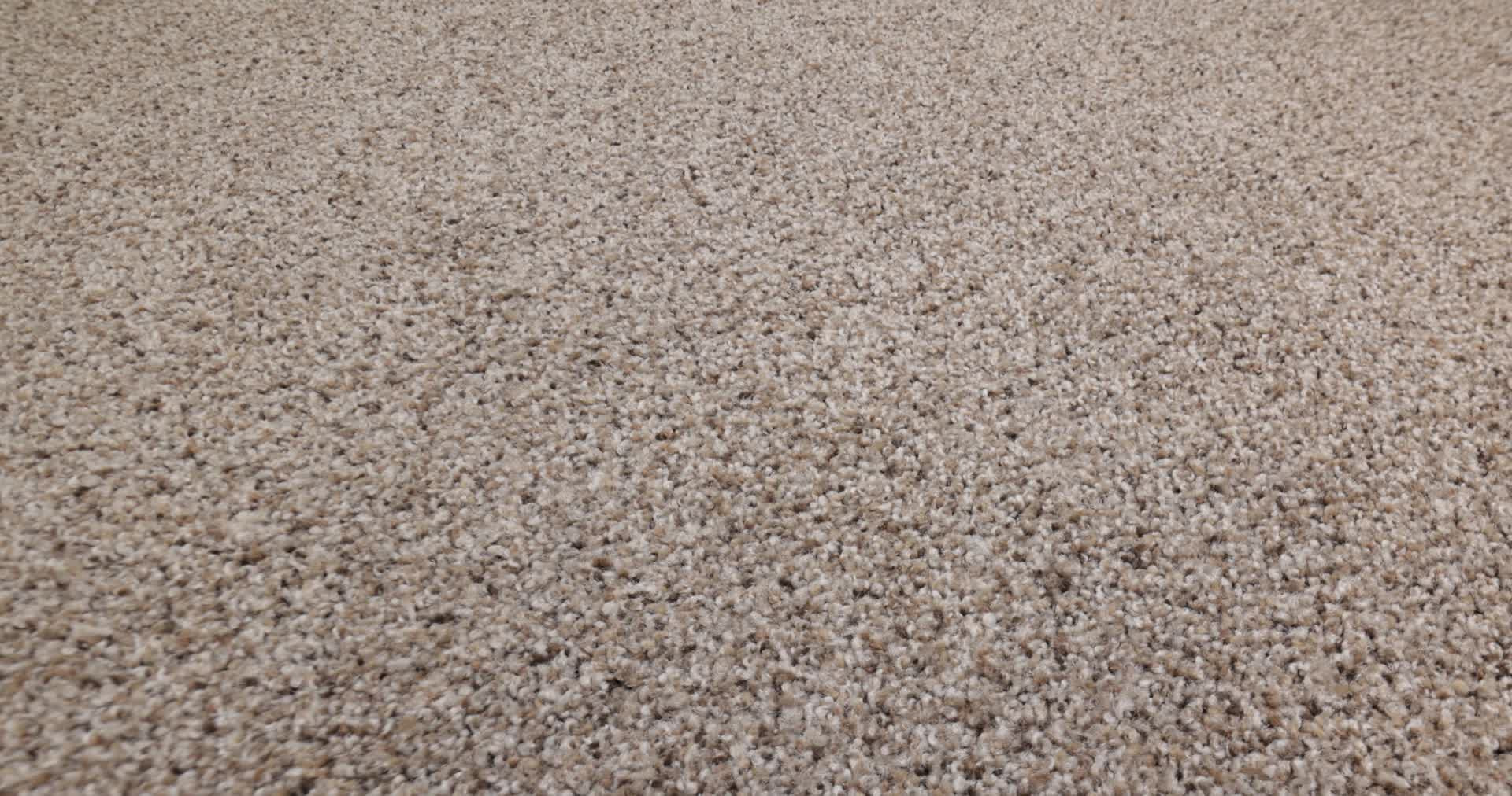 STRANDS OF NATURE I COBBLE DRIVE 360PROD