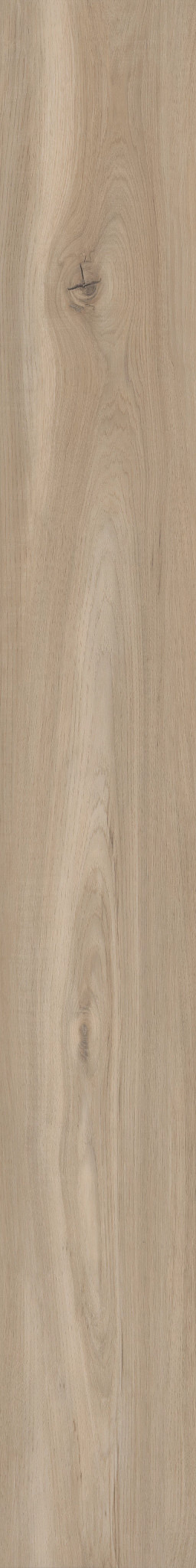 SEA SALT OAK 1TO1