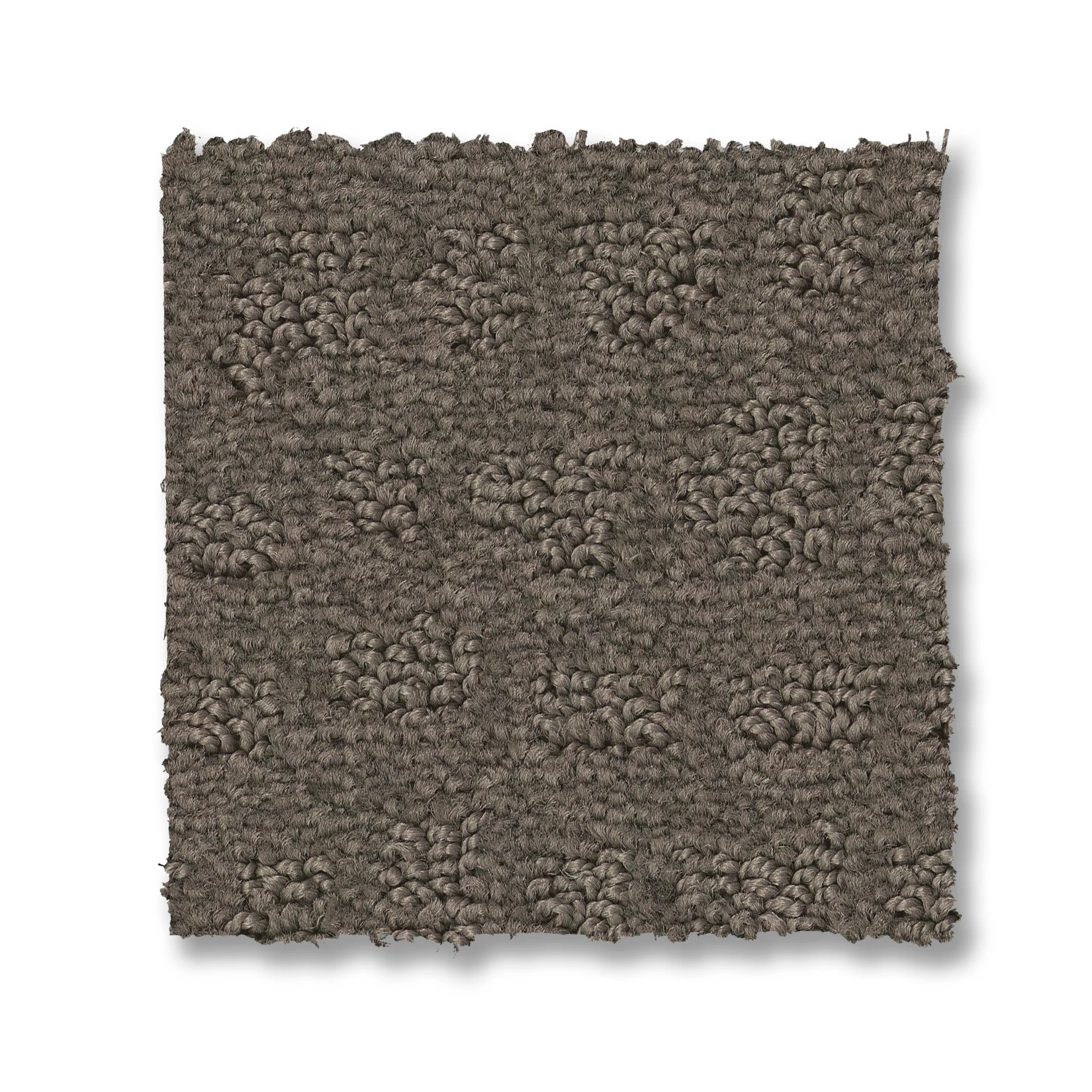 SOLSTICE POTTING SOIL SWATCH