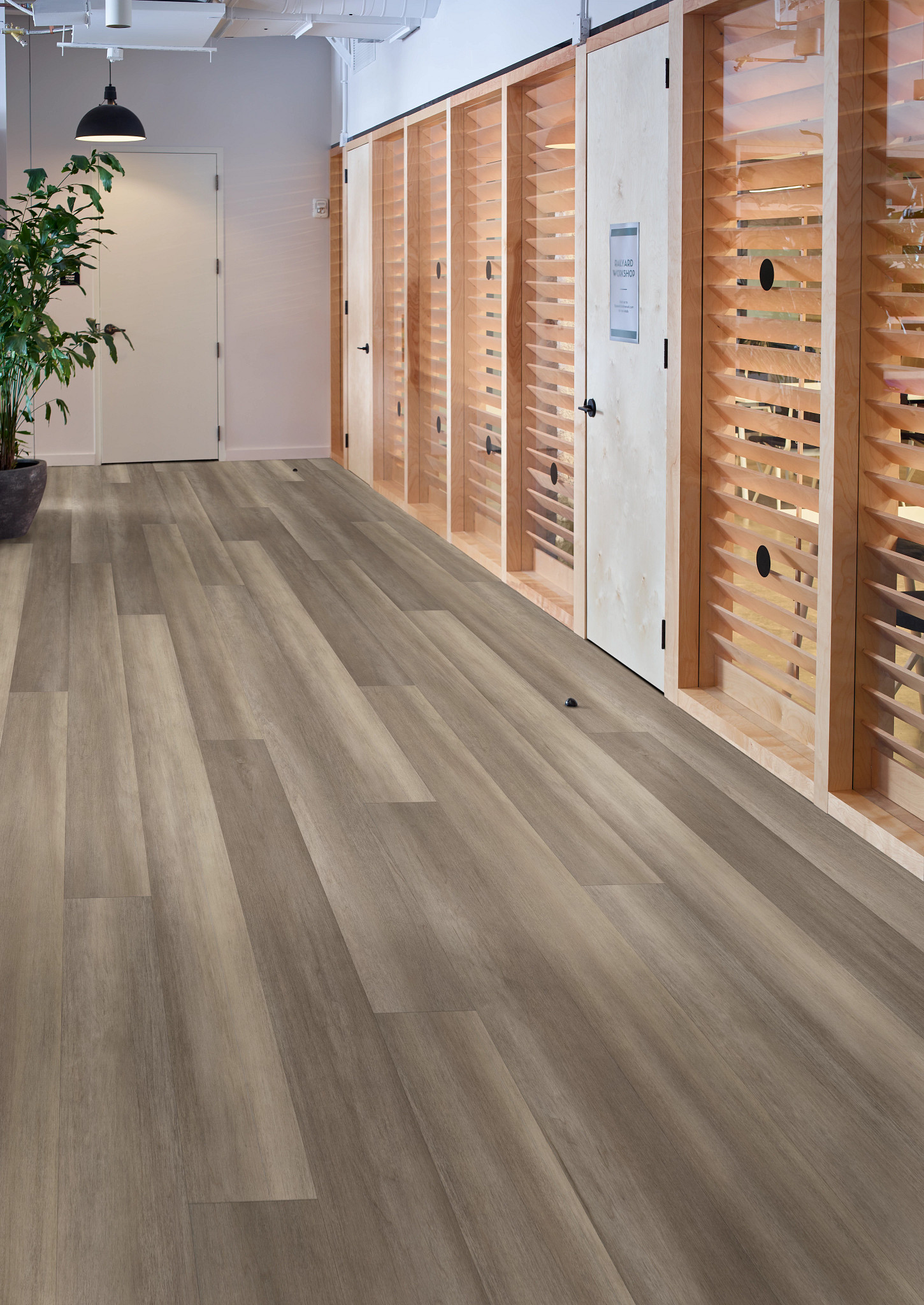 PHILOSOPHER'S-TREE-5599V-RIVER-ROCK-00103-room-image