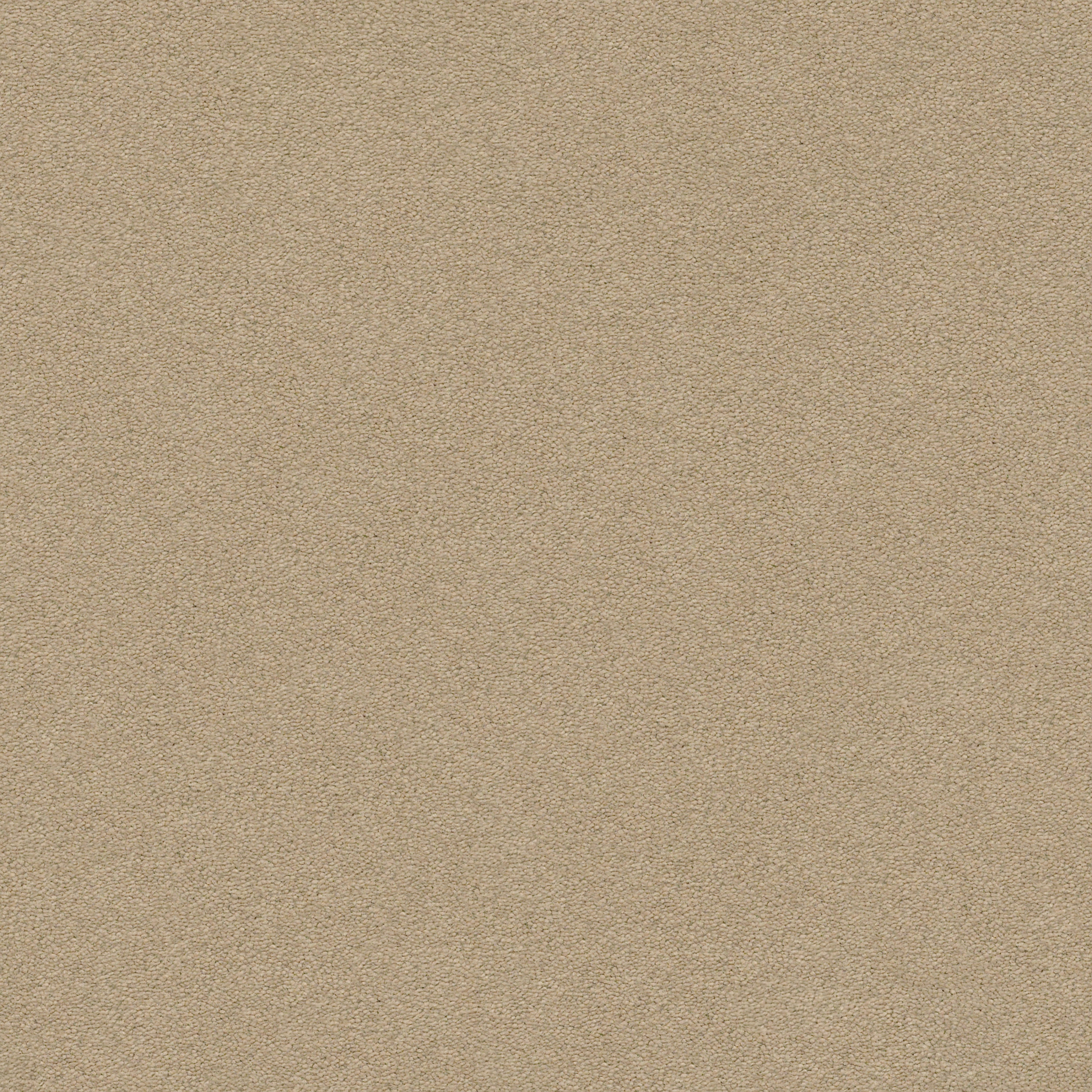 PERFECT CHOICE HIKING TRAIL MAIN