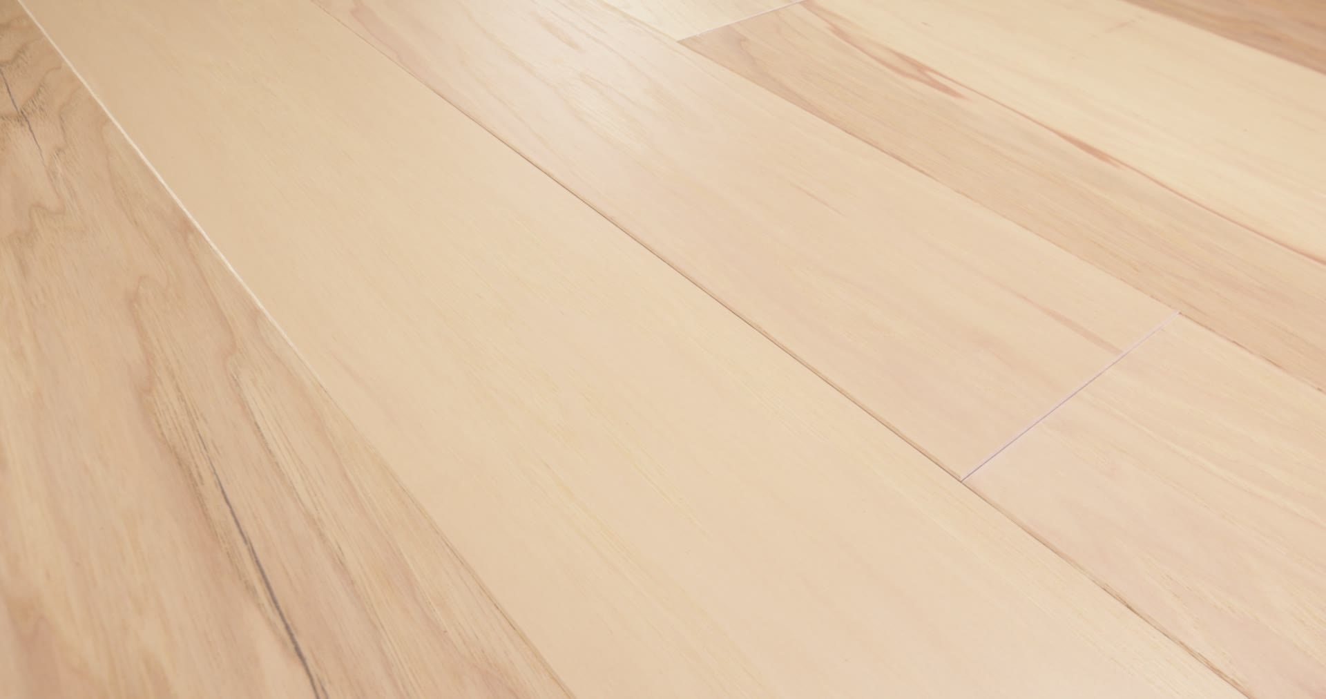 NORTHINGTON SMOOTH CANOPY 360PROD