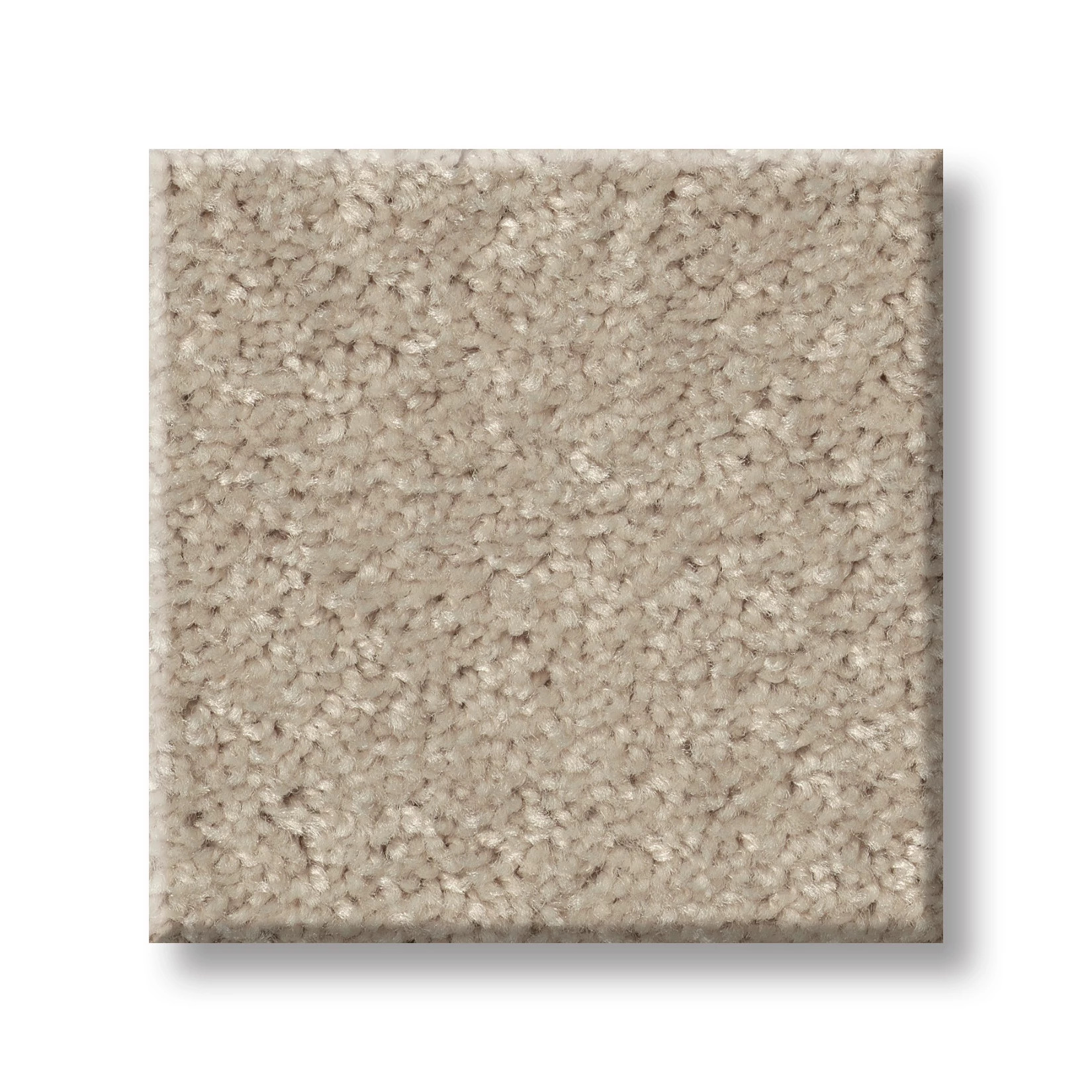 DYERSBURG CLASSIC 12' TAUPE SWATCH