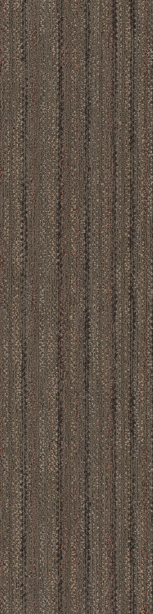 Layers 54833