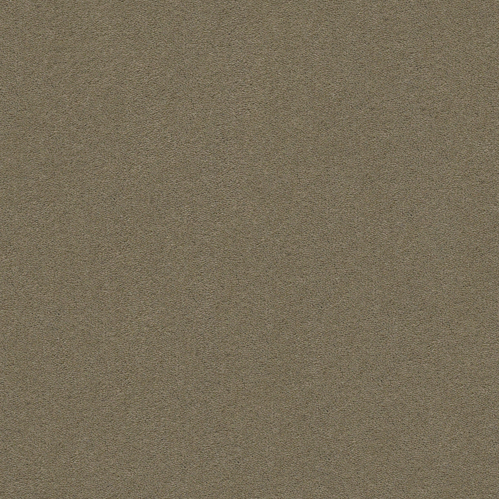 PERFECT CHOICE SLEEK SUEDE MAIN