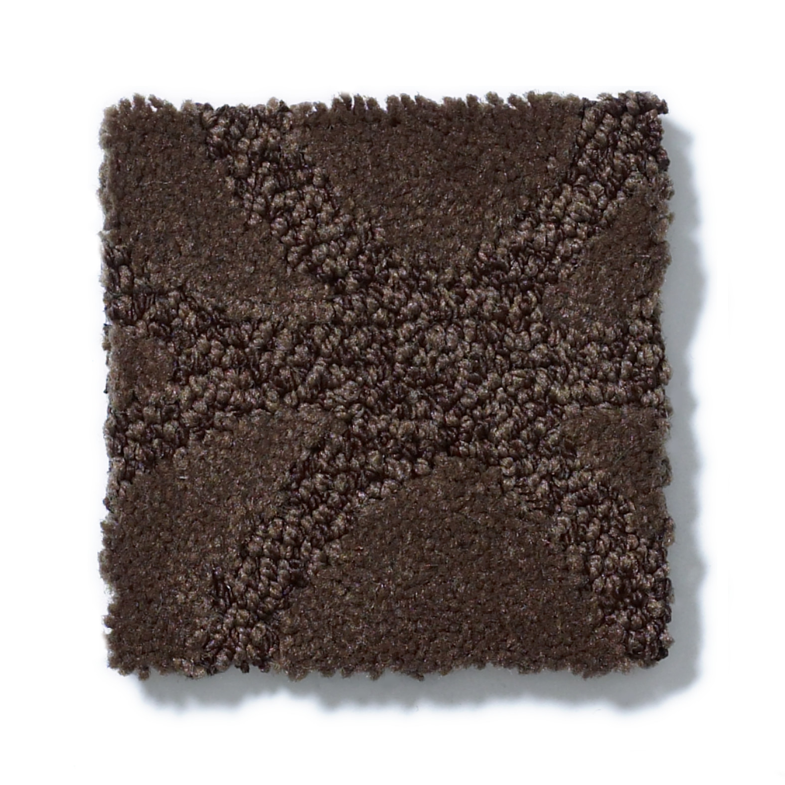 APPRECIATION BISON SWATCH