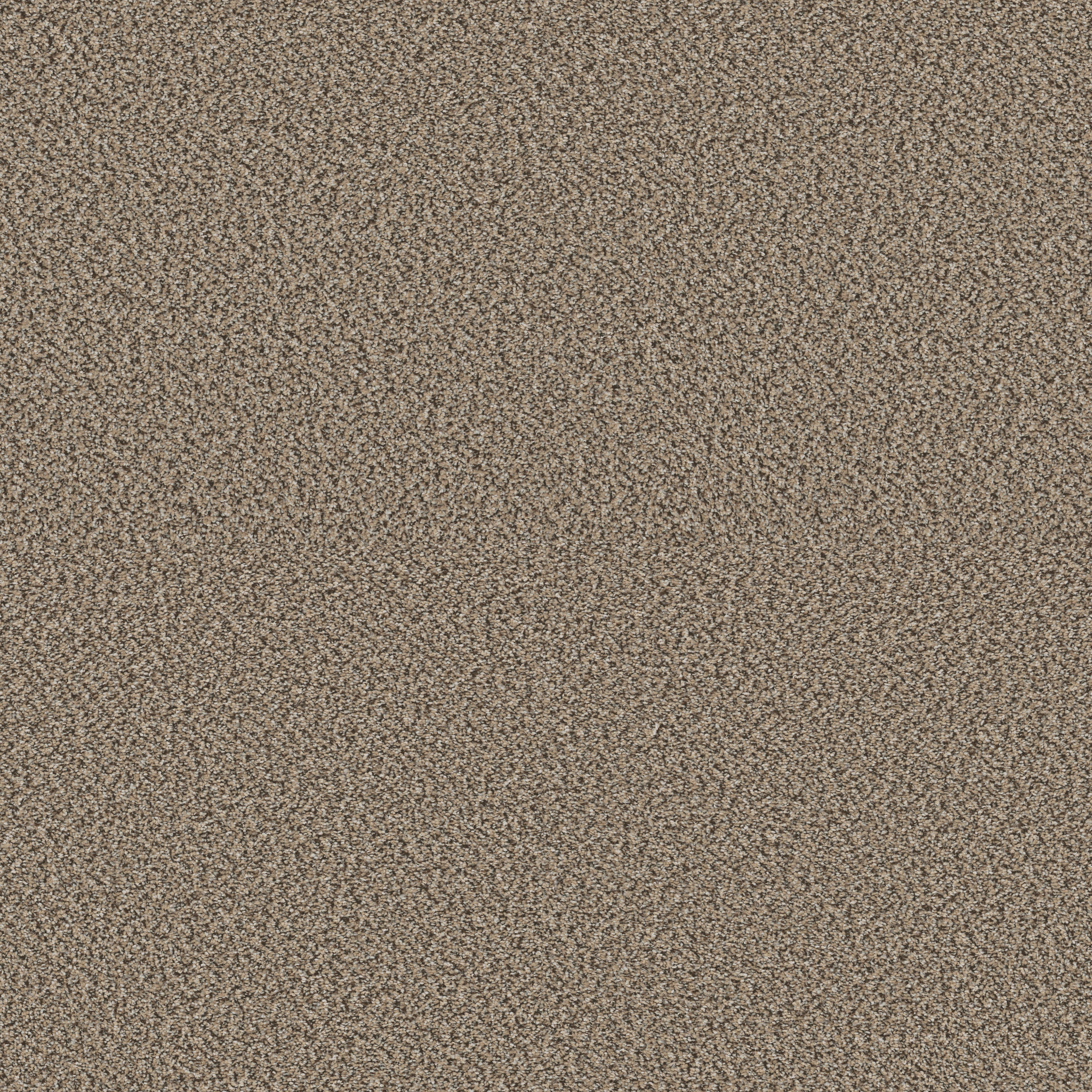 HIGH RANKING B ESCAPE MAIN