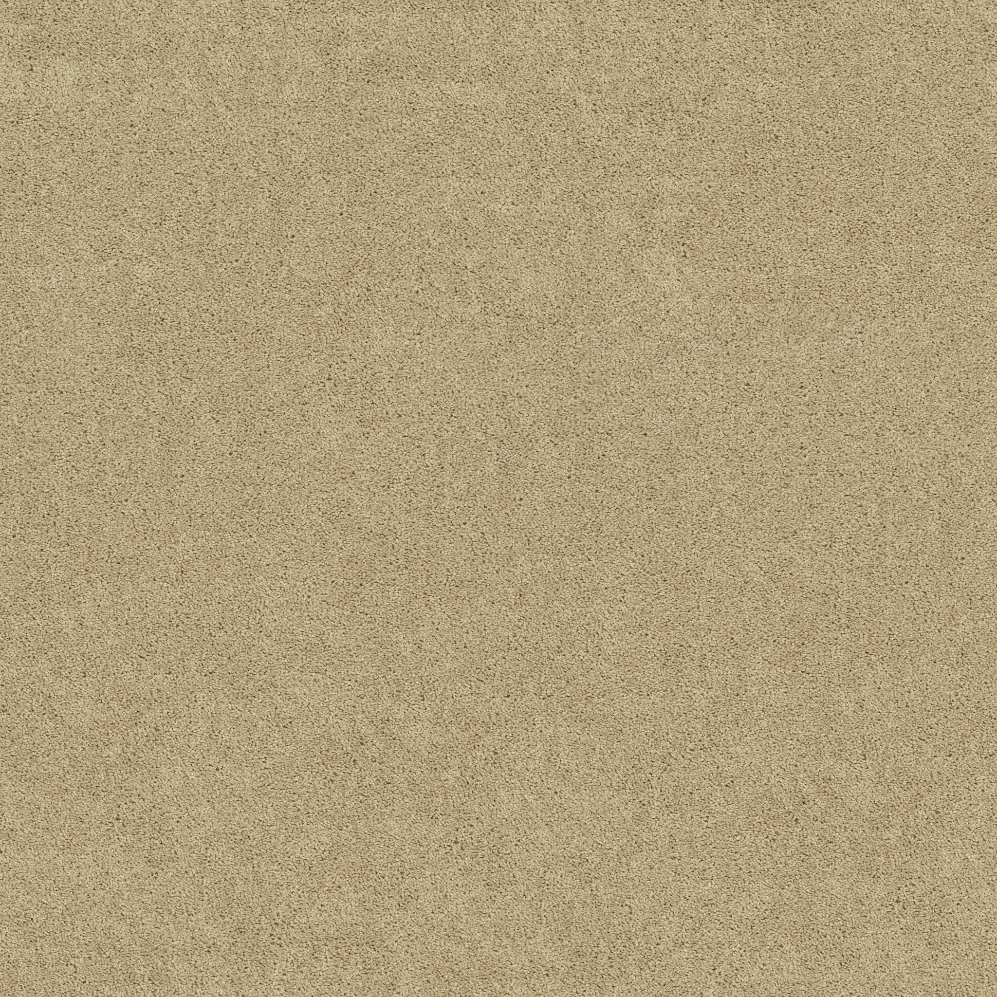 FIELDER'S CHOICE 15' ADOBE MAIN