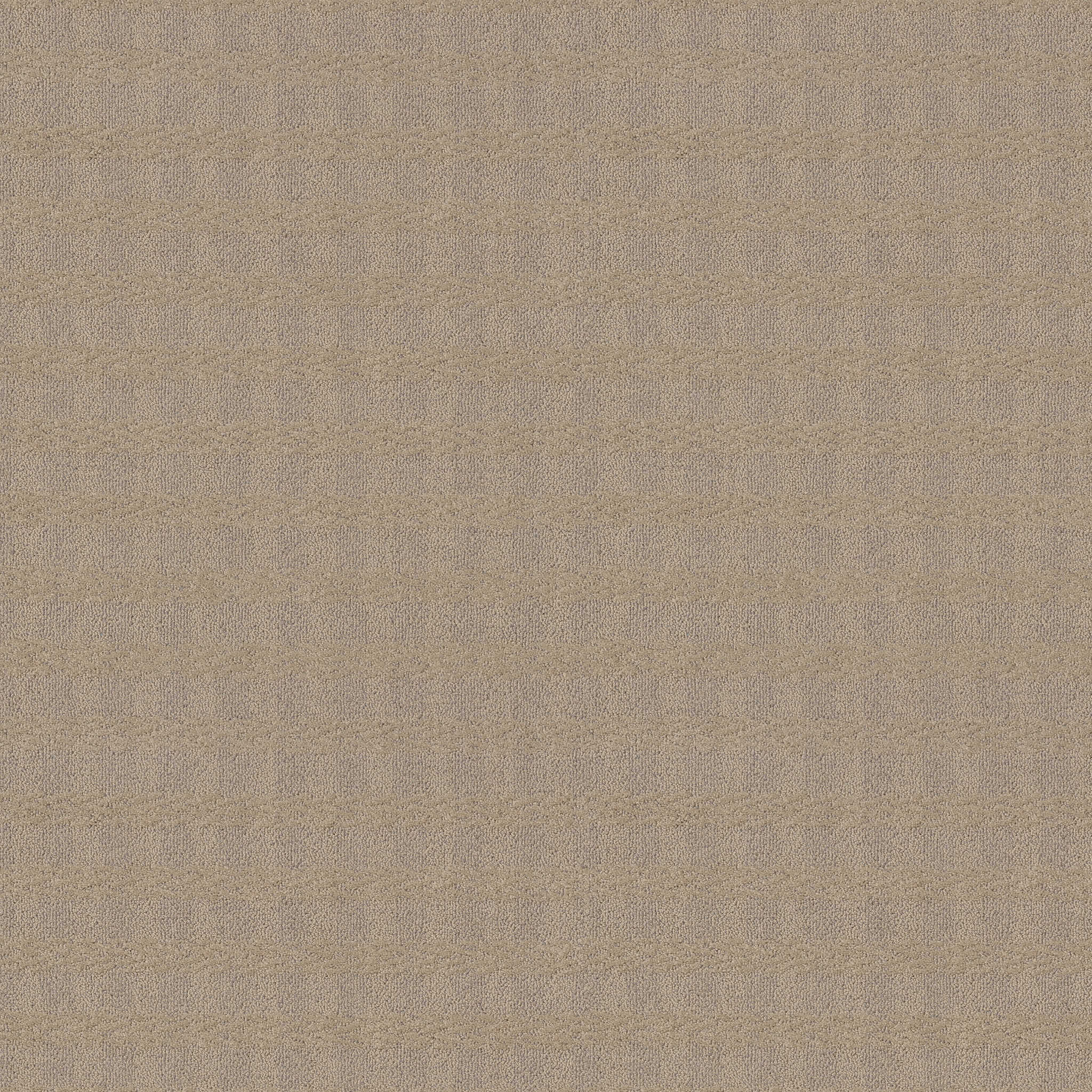 IMAGINATION SILHOUETTE MAIN