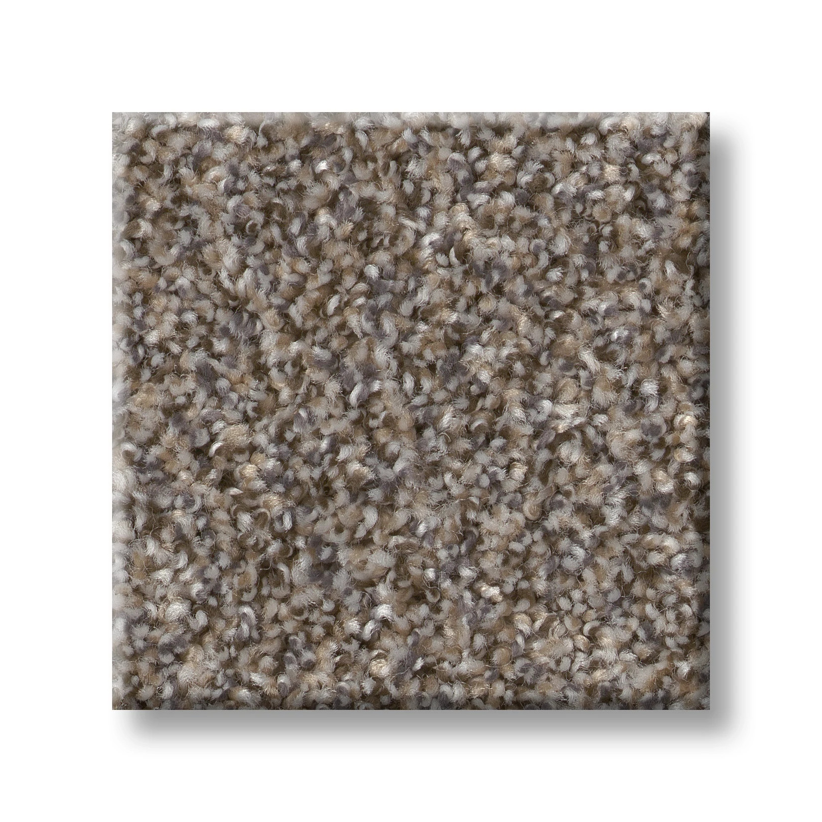 RIGHT CHOICE CHAMPAGNE TOAST SWATCH