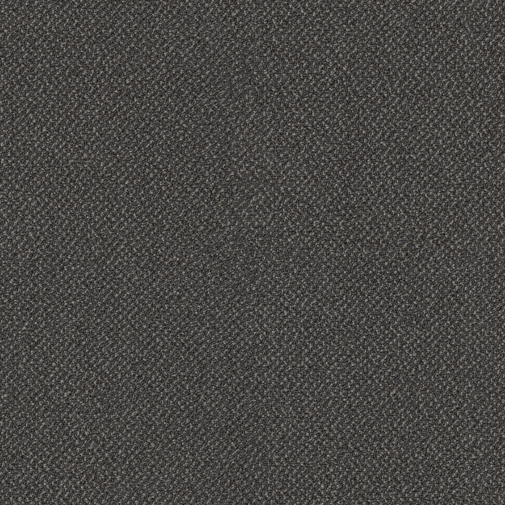 SMALL-WONDER-54984-INCREDIBLE-84503-main-image