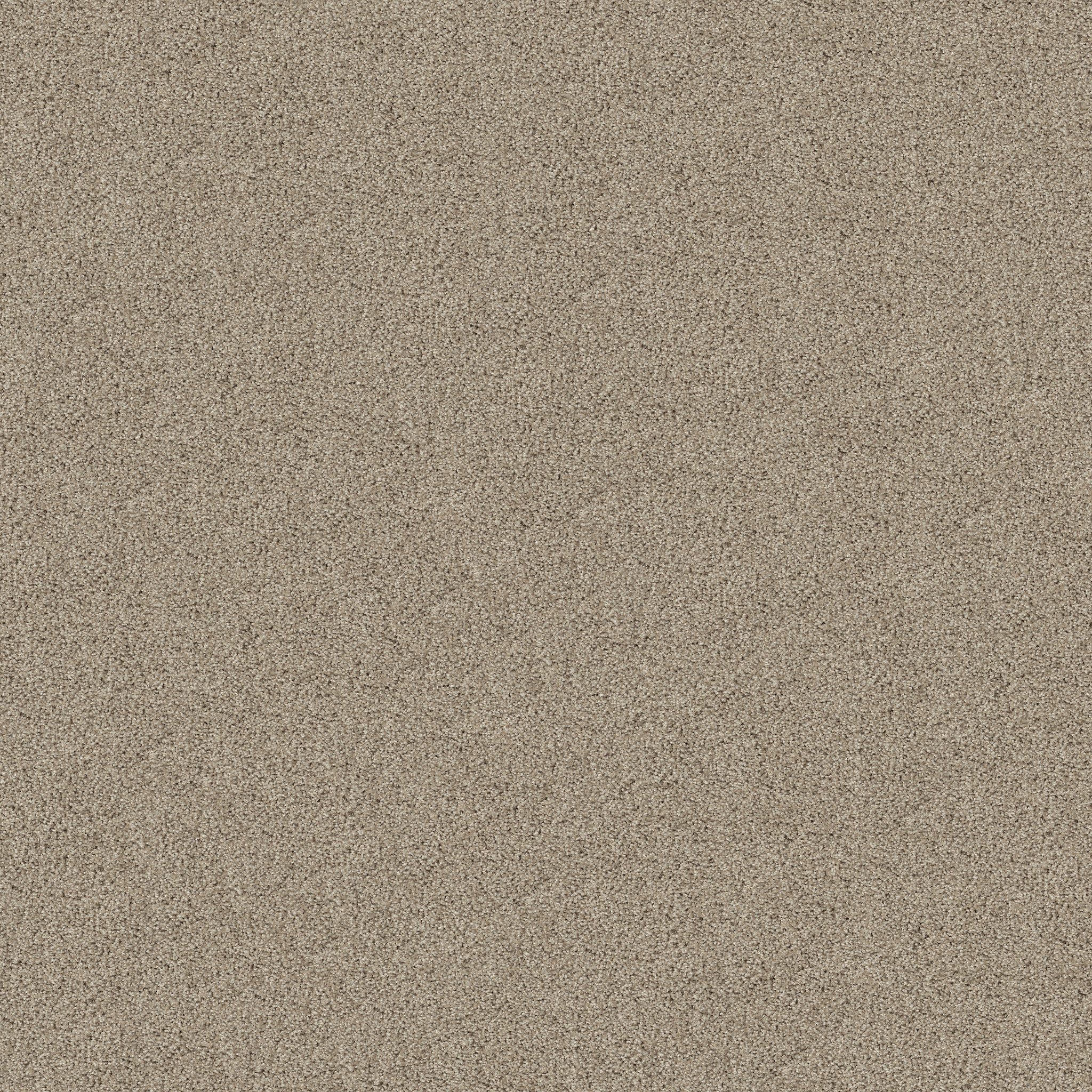 ACADIA PARK CLAY MAIN