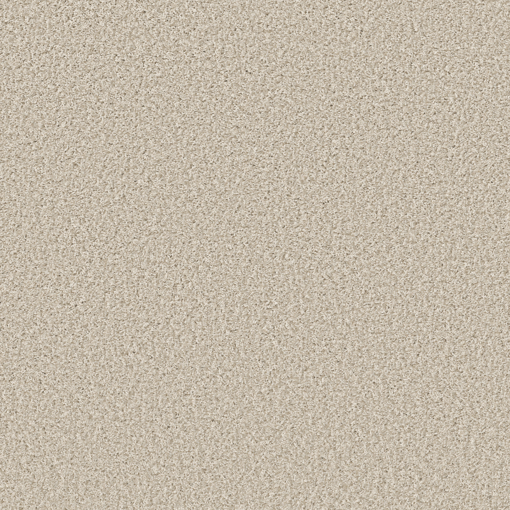 COOL FLAIR BUFFTONE MAIN