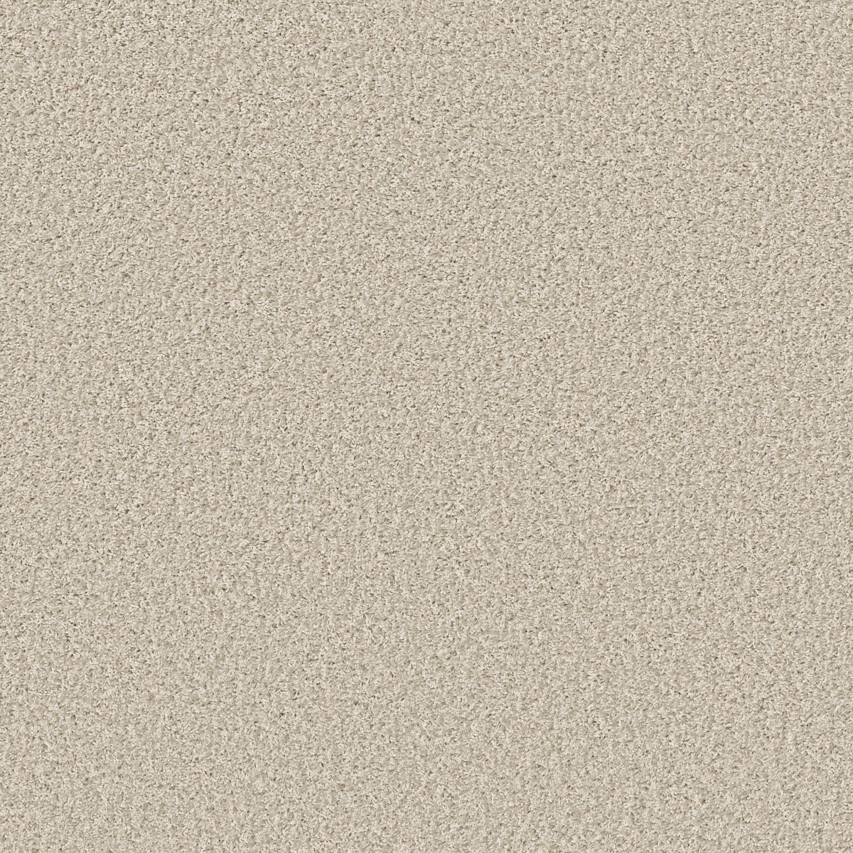 Shaw Floors COOL FLAIR — BUFFTONE