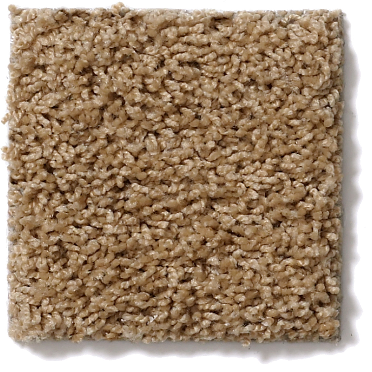 WINTERS HOME FILOLI HONEY SWATCH