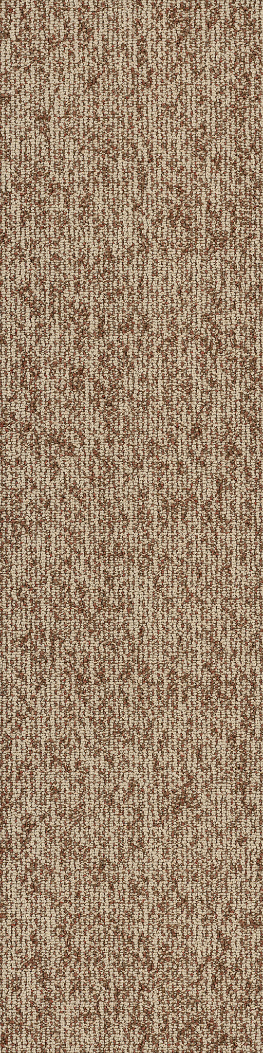 BASIN-54847-MESA-00801-main-image