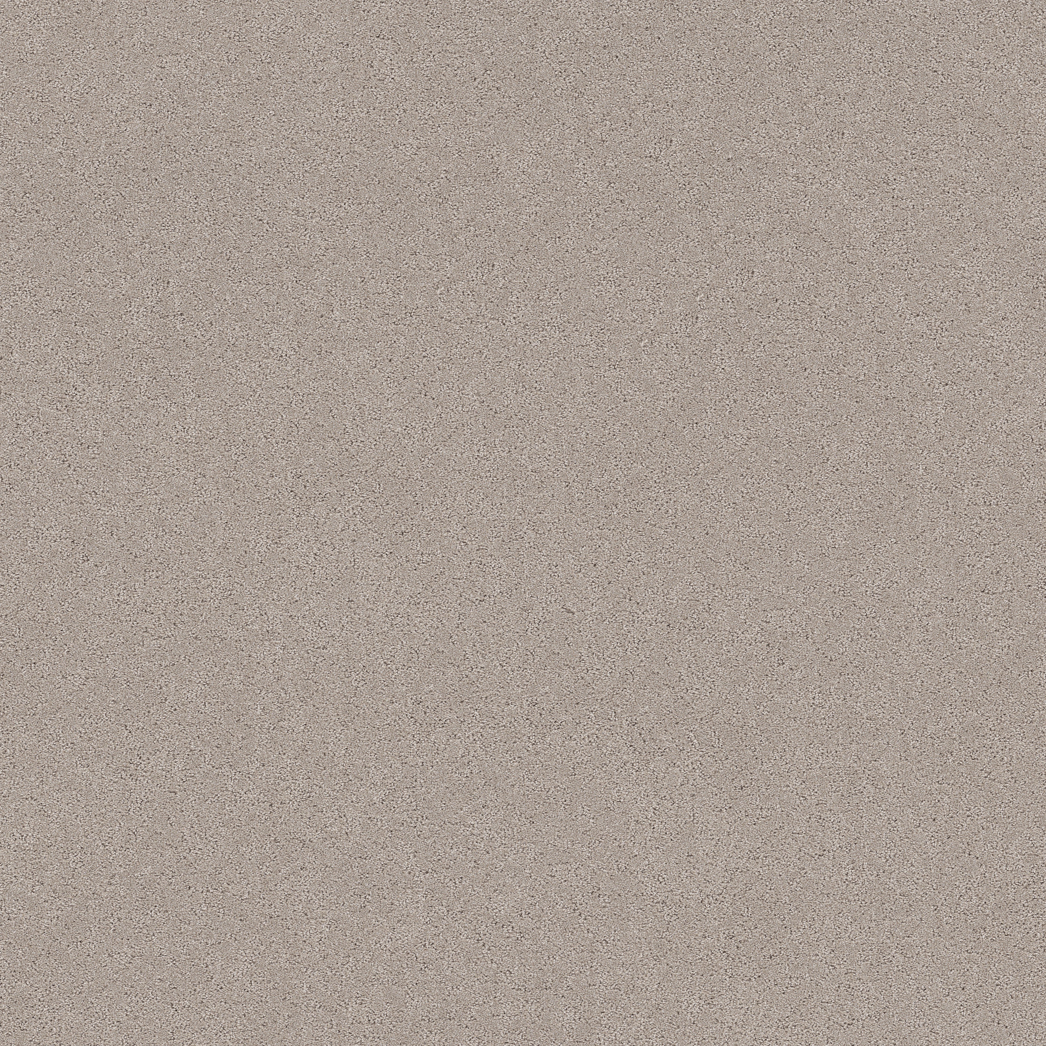 SECRET ADVENTURE CHIC TAUPE MAIN