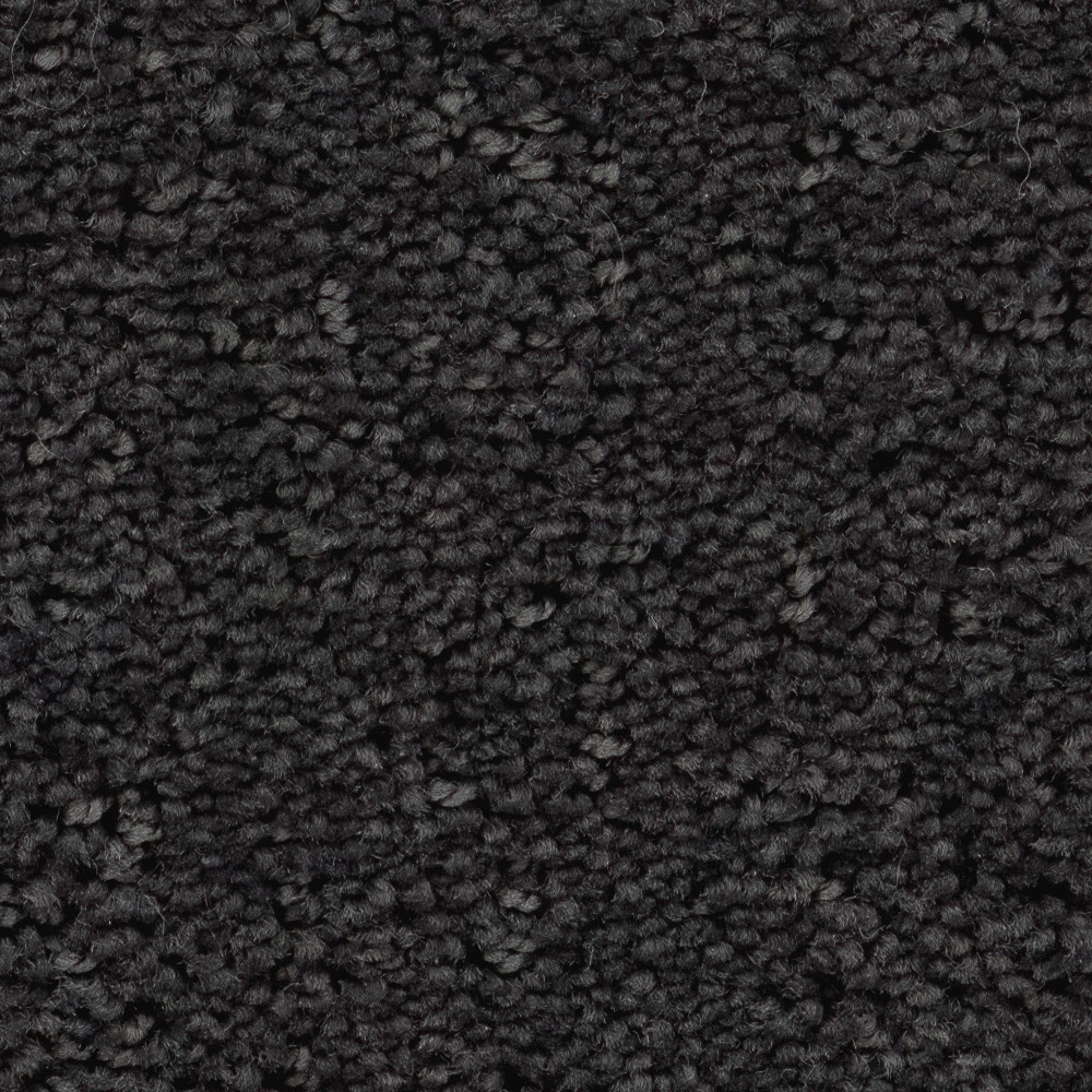 REFINED CANVAS MOVIE NIGHT SWATCH