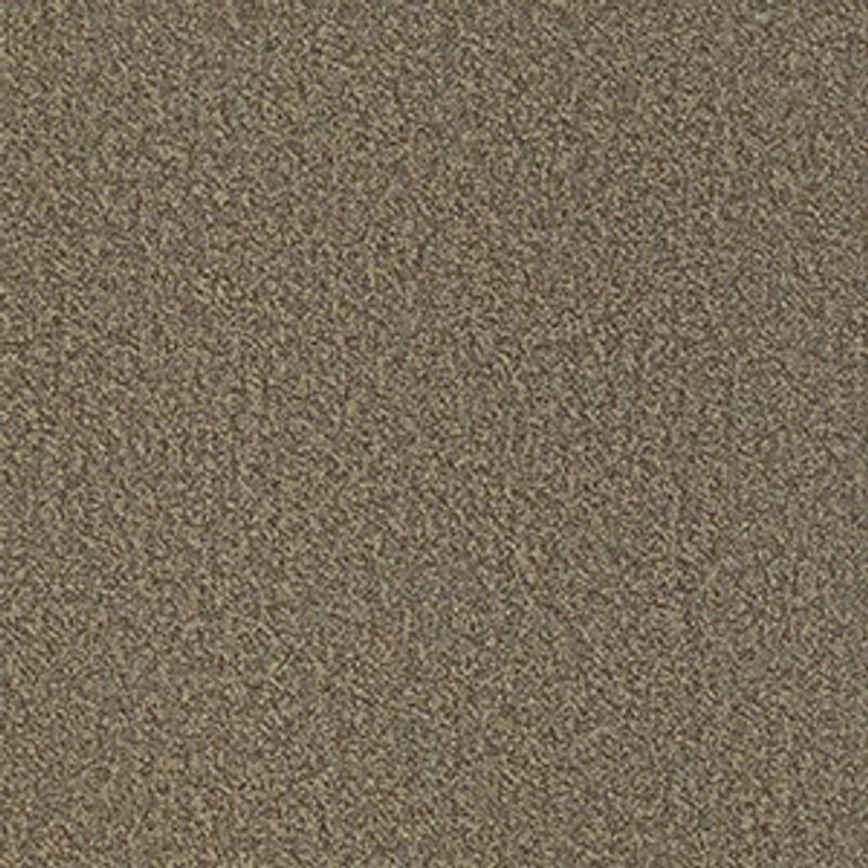 Scoreboard II 26 Slip 54677 broadloom carpet in 4th Quarter color, made from 100% nylon, 12ft wide, 125ft long