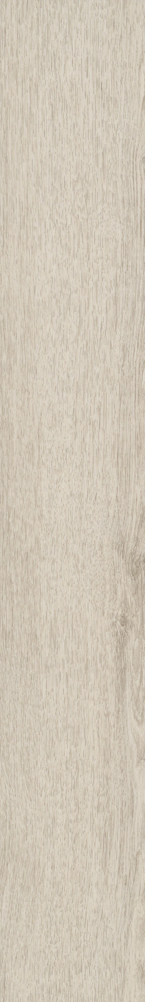NATURAL BEGINNINGS SPC PARCHMENT 1TO1