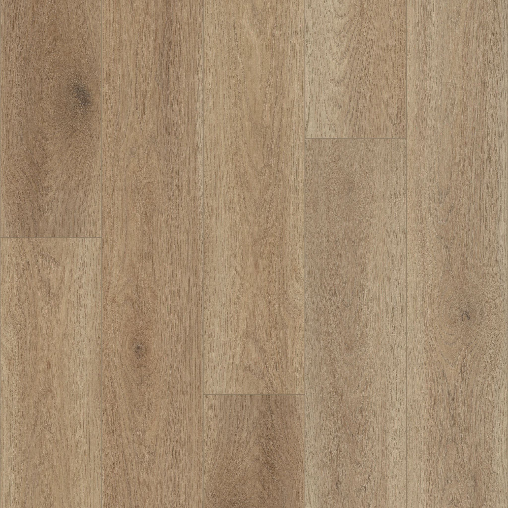 HOMEBOUND HONEY WHEAT MAIN