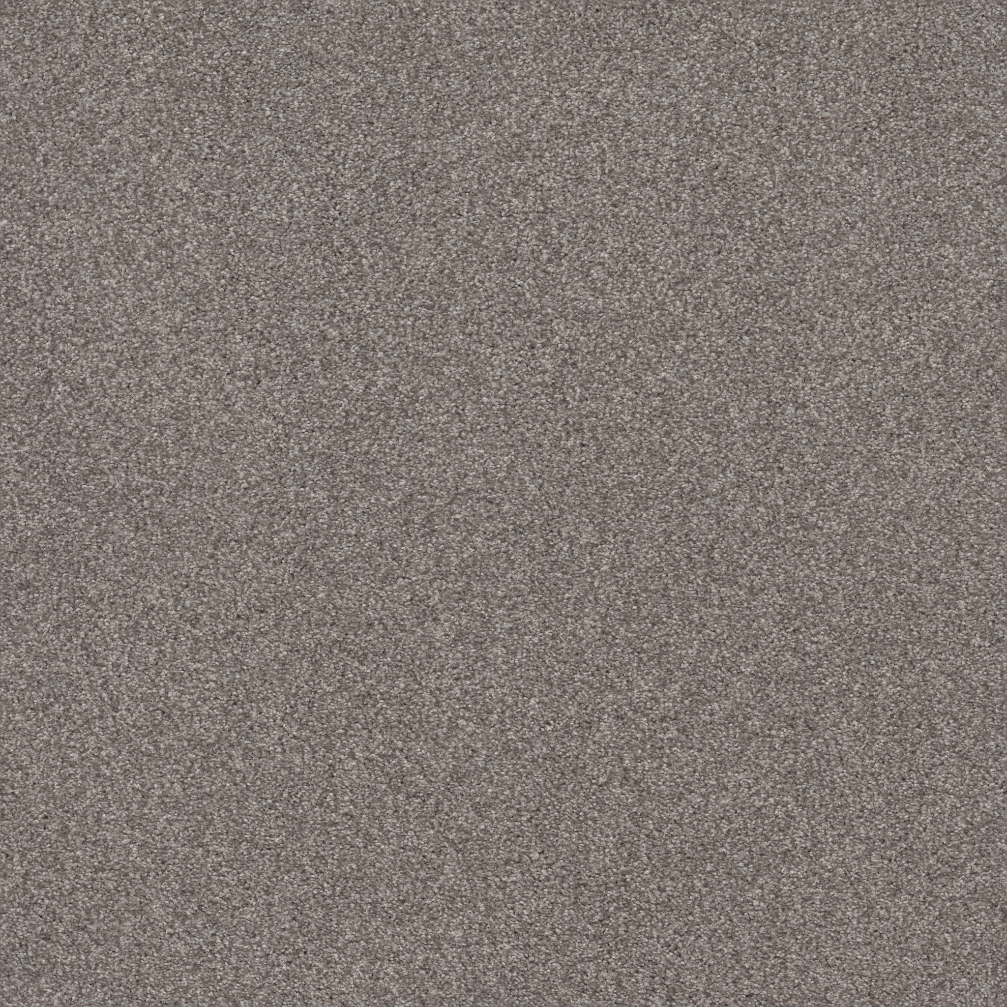 COZY HARBOR II RIDGEVIEW MAIN