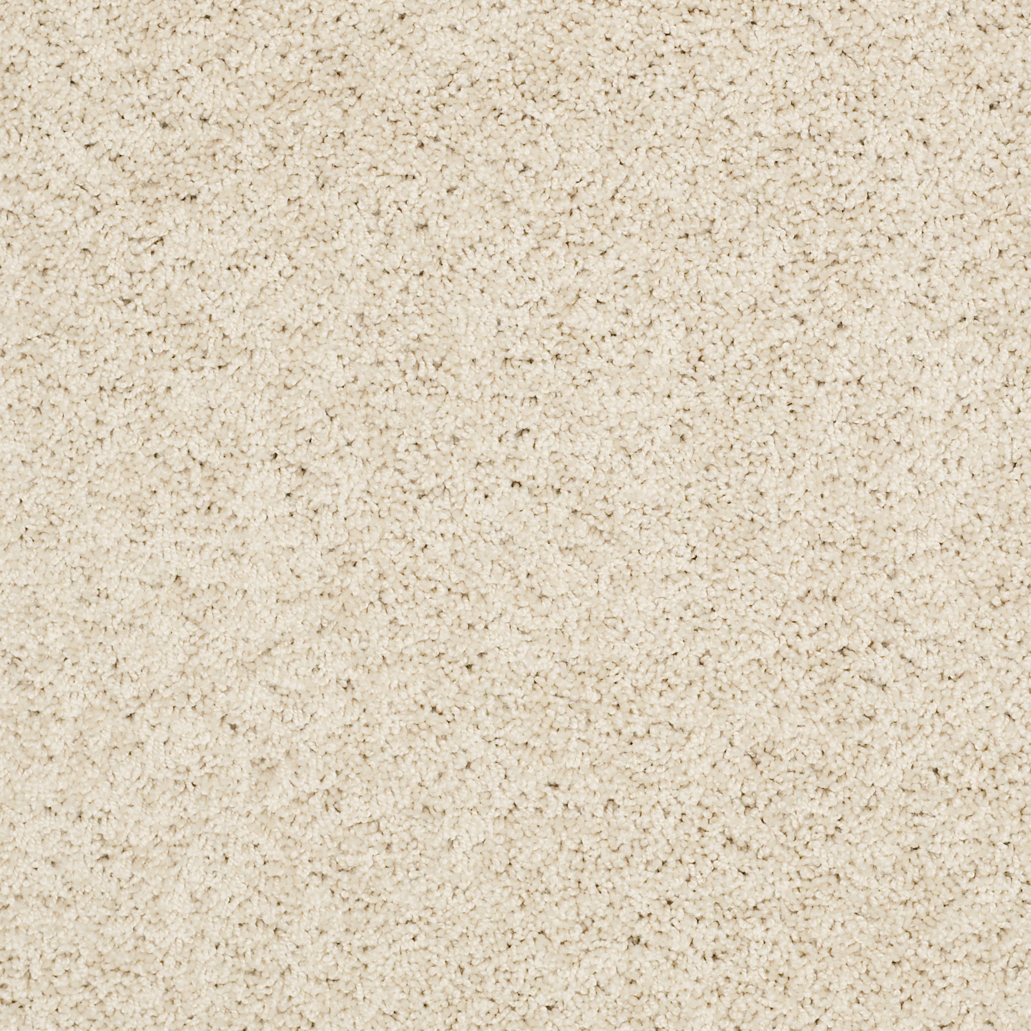 AG TIMELESS CANVAS MAIN