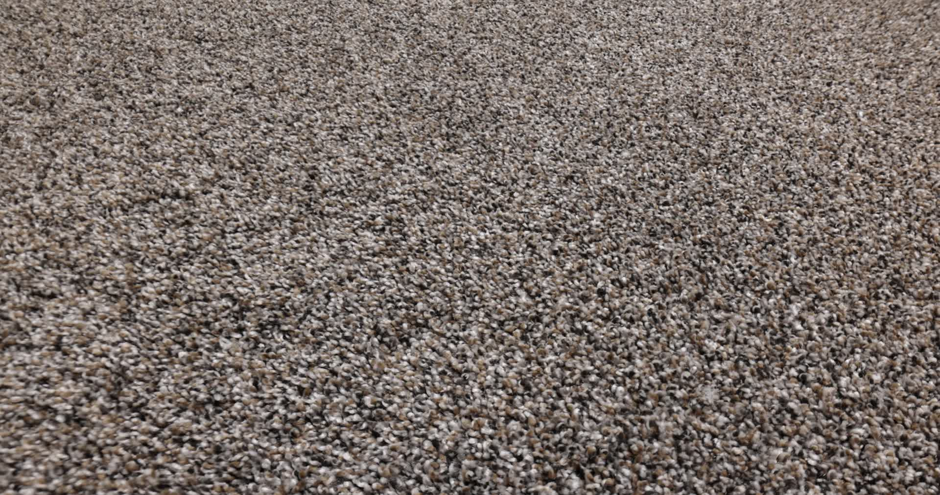 YES YOU CAN II 12' CAFE NOIR 360PROD