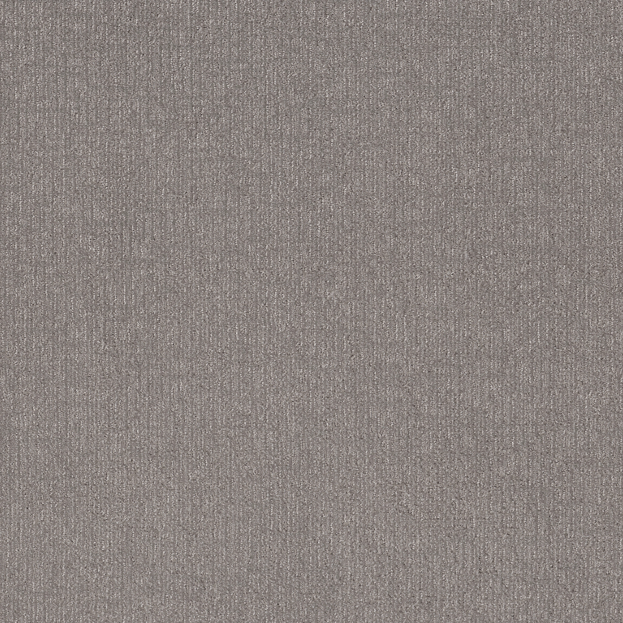 CLEVER ART RIVER BIRCH MAIN