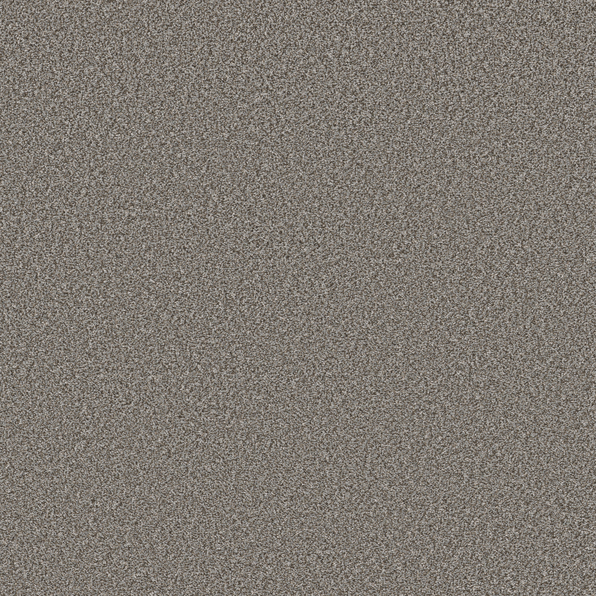 NEW ATTITUDE METEOR MAIN