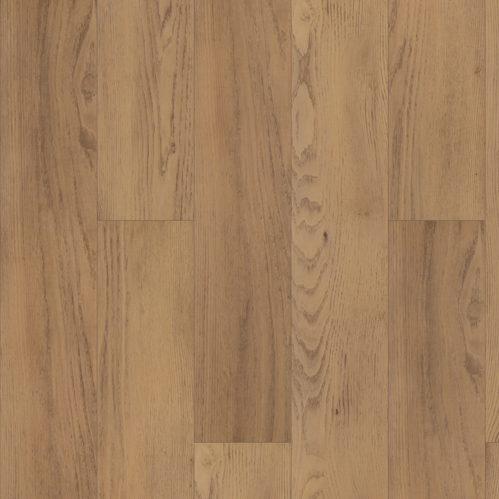 PARAGON HD+NATURAL BEVEL FRANKLIN MAIN