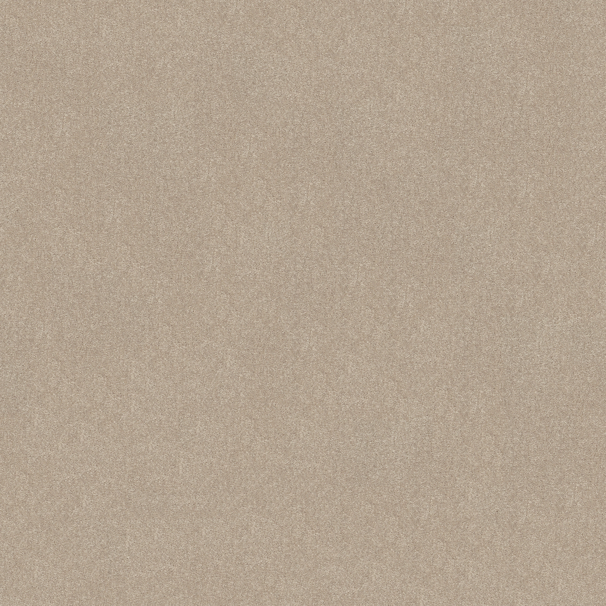 EASY SPIRIT I 12' DREAMY MAIN