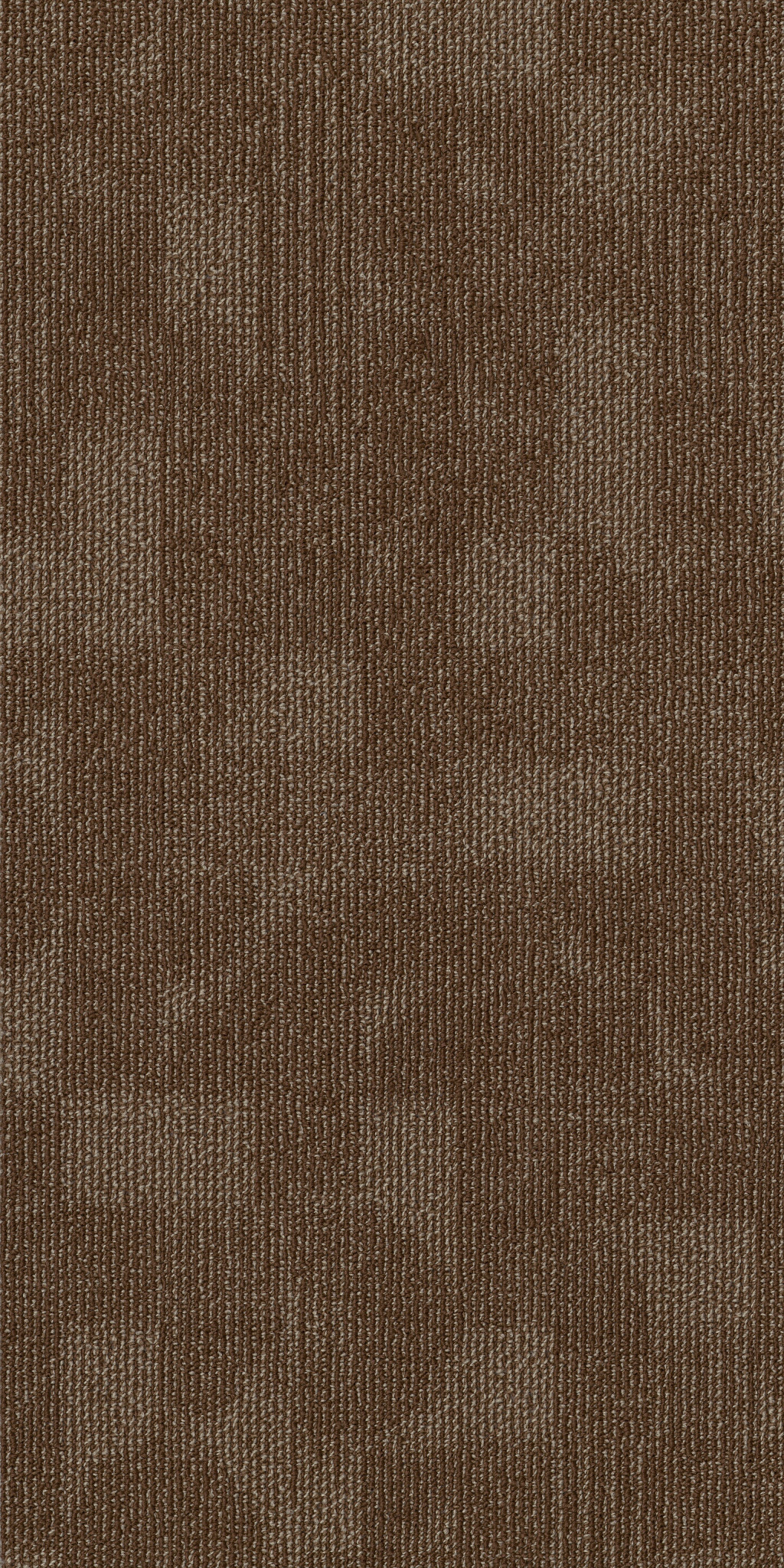 REFOCUS-55005-ALTER-00705-main-image