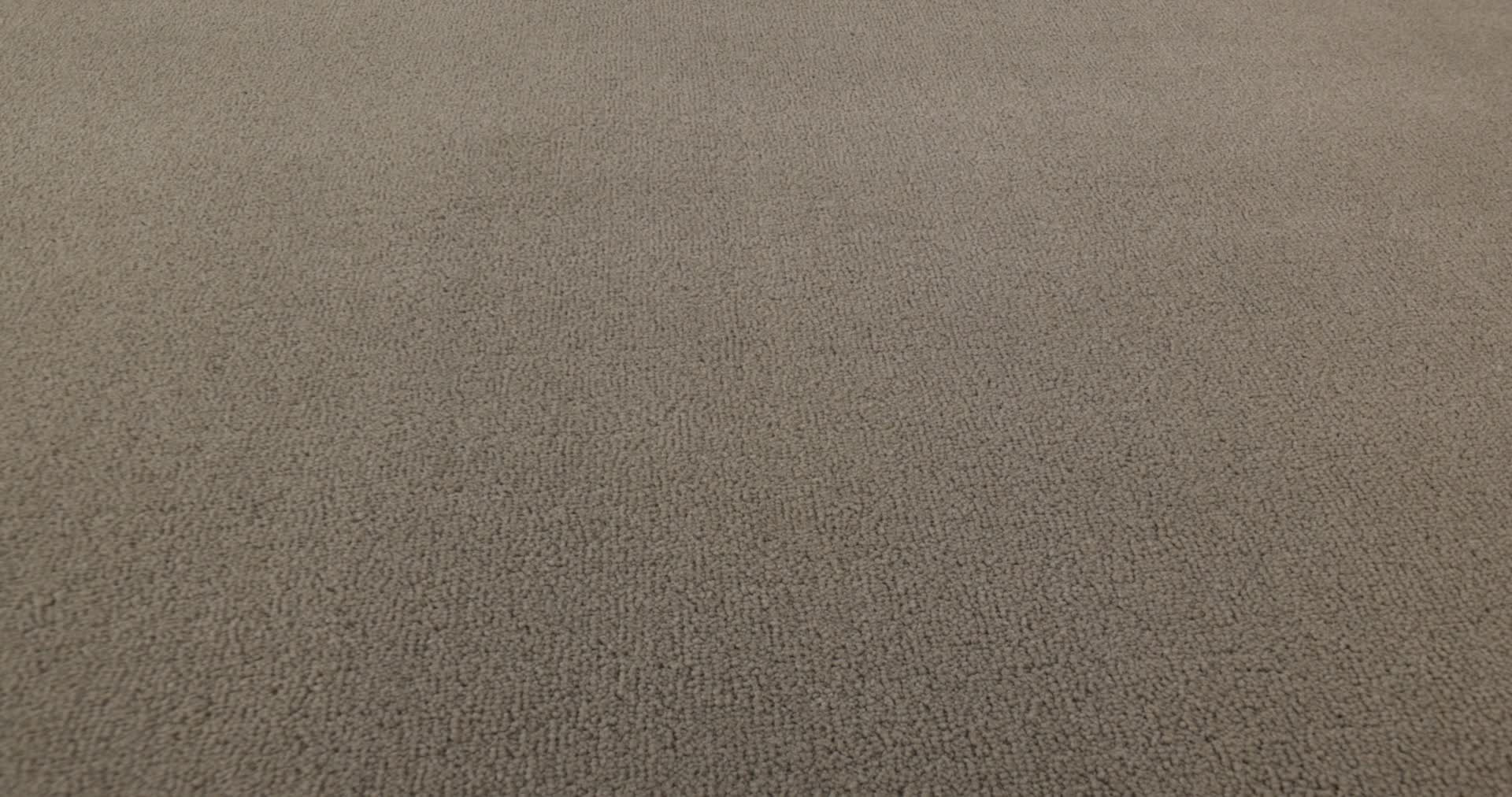 PERFECT CHOICE ELEPHANT EAR 360PROD