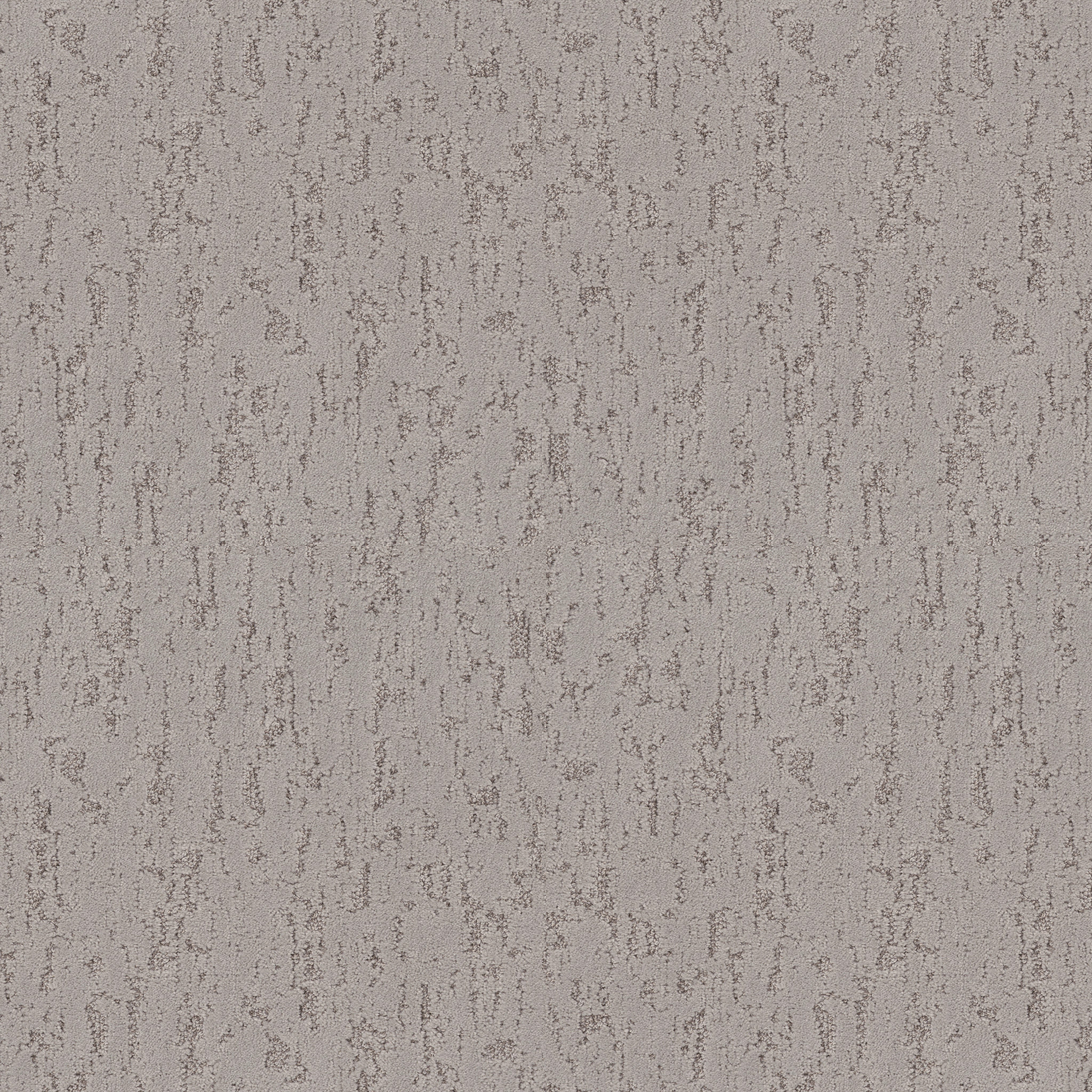 CALM EXPRESSION MUSHROOM MAIN